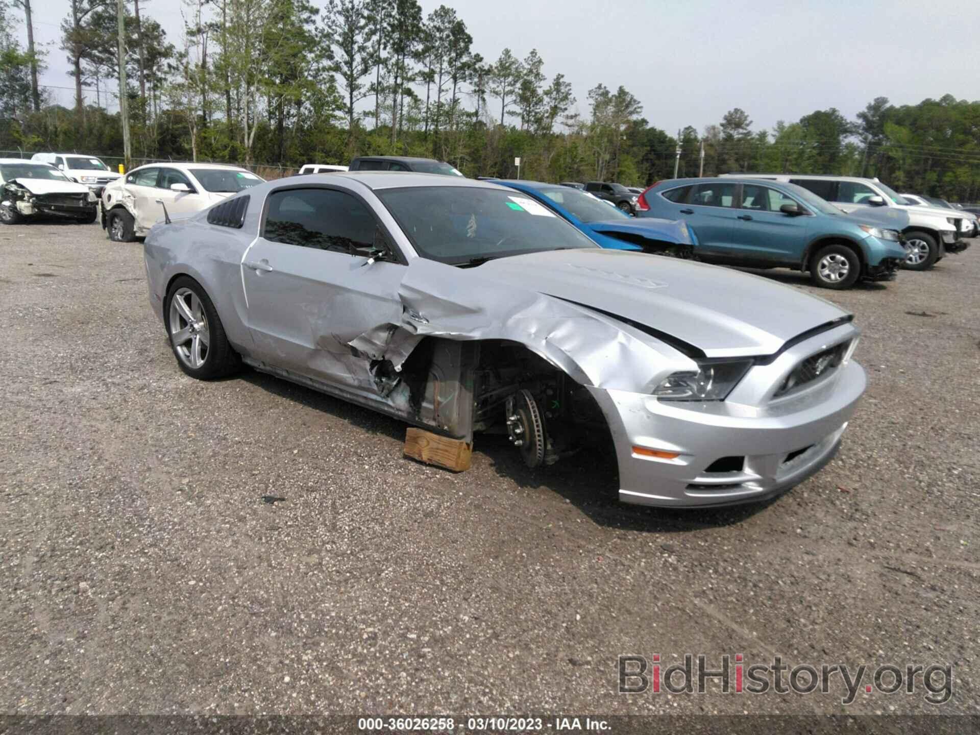 Photo 1ZVBP8CF7D5218266 - FORD MUSTANG 2013