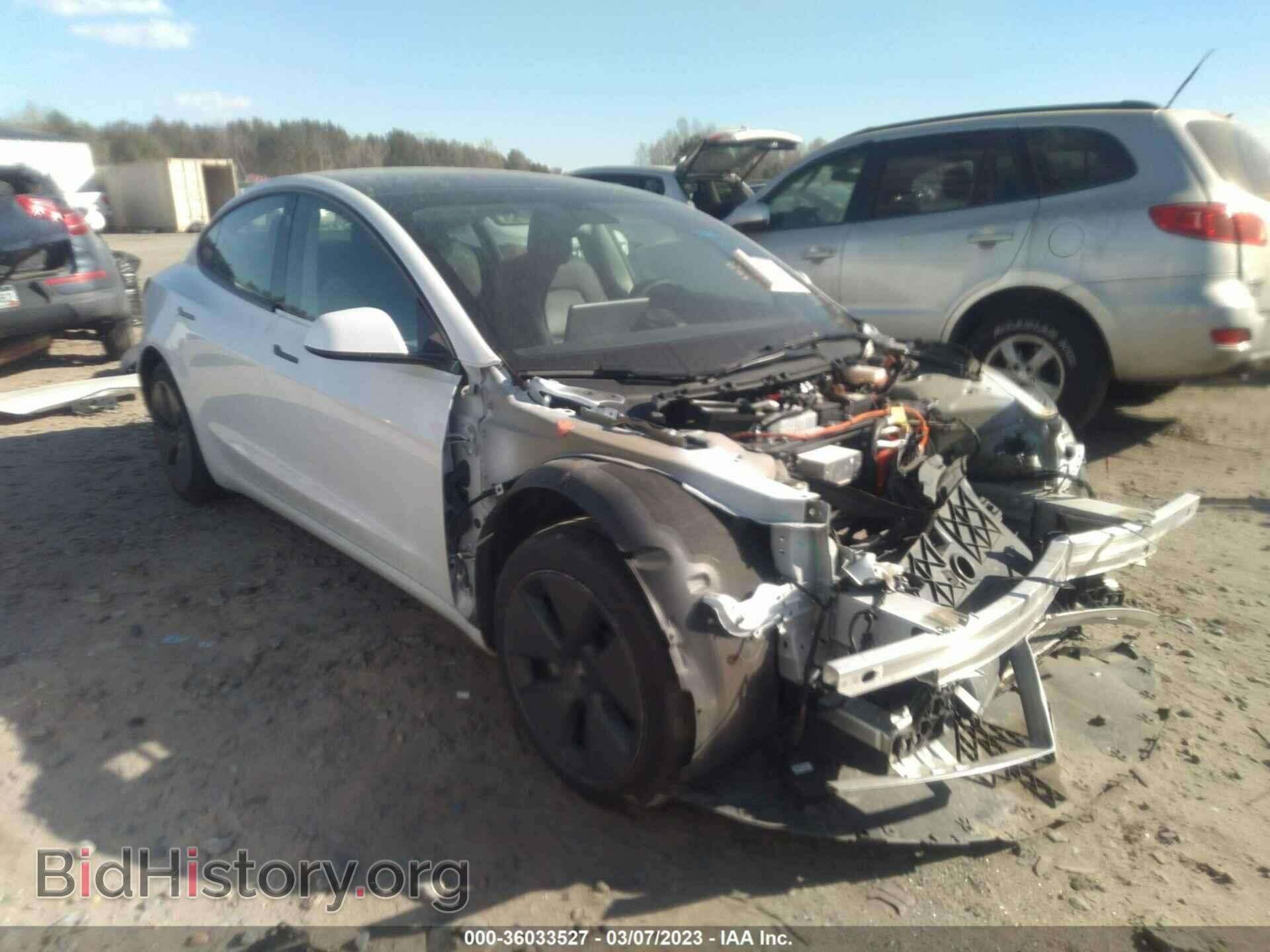 Photo 5YJ3E1EA4MF017073 - TESLA MODEL 3 2021