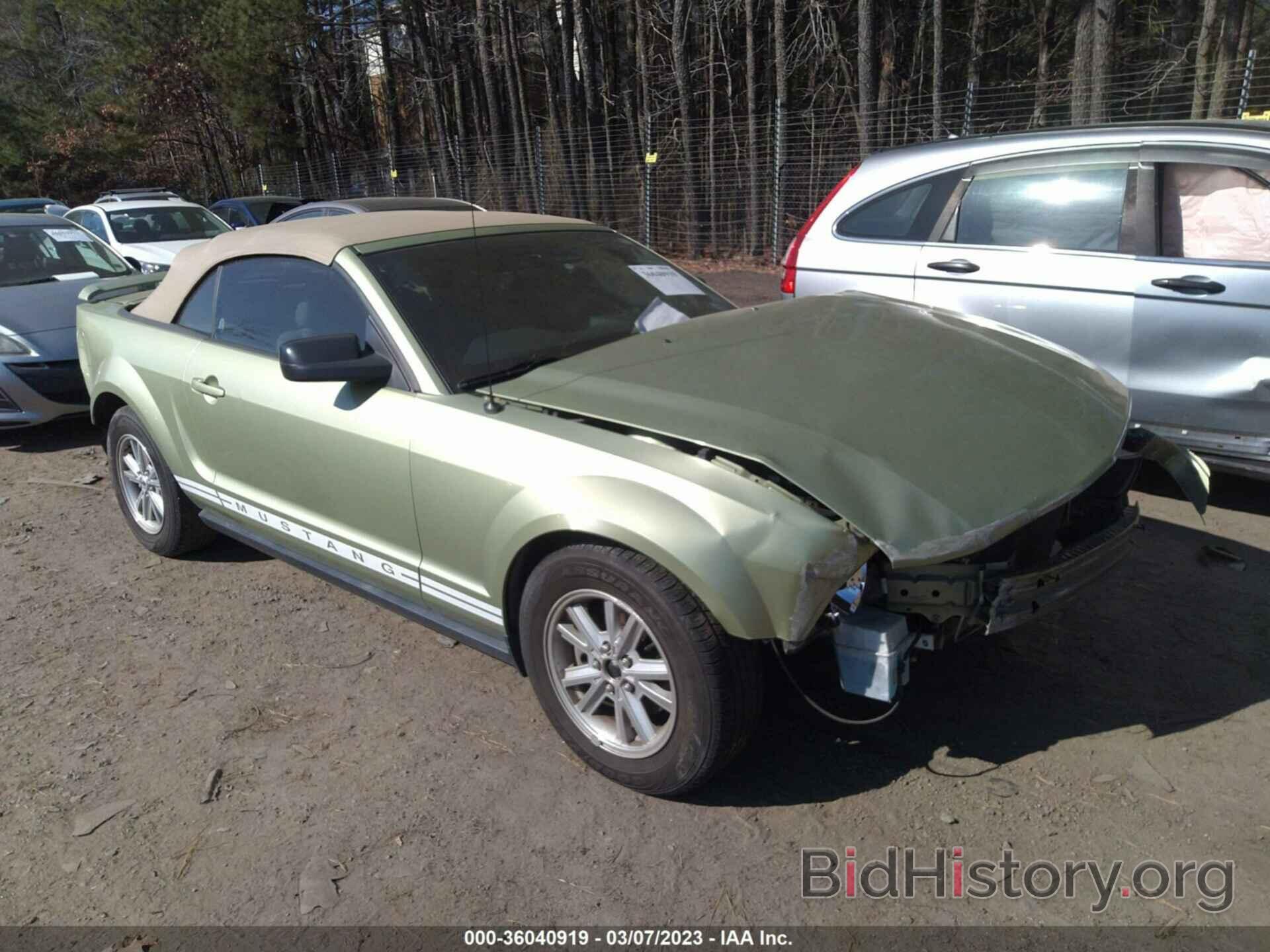 Photo 1ZVFT84N765117542 - FORD MUSTANG 2006