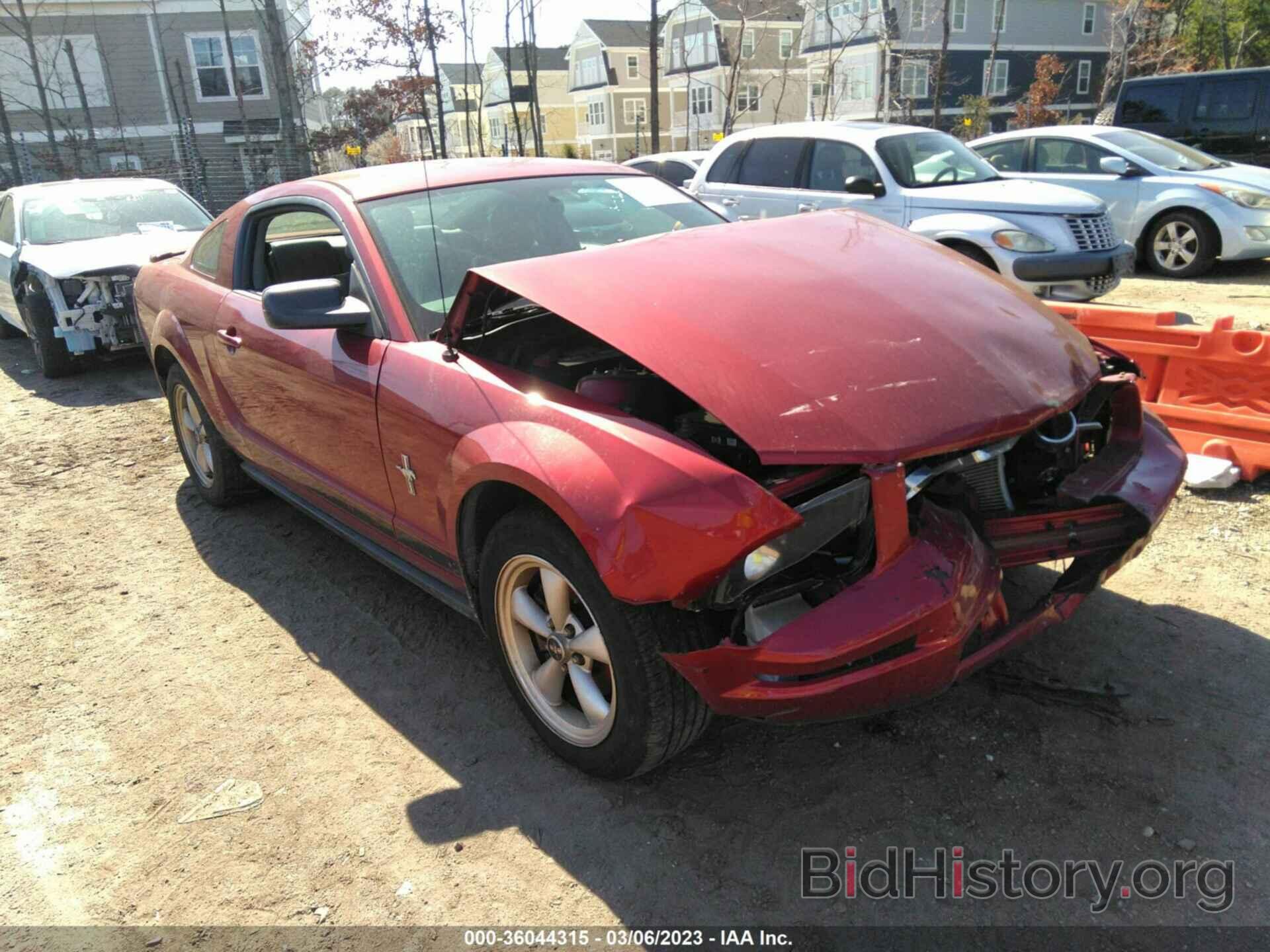 Photo 1ZVFT80N375231559 - FORD MUSTANG 2007