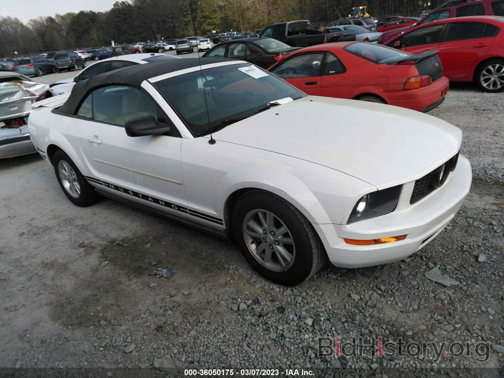 Photo 1ZVFT84N275353842 - FORD MUSTANG 2007