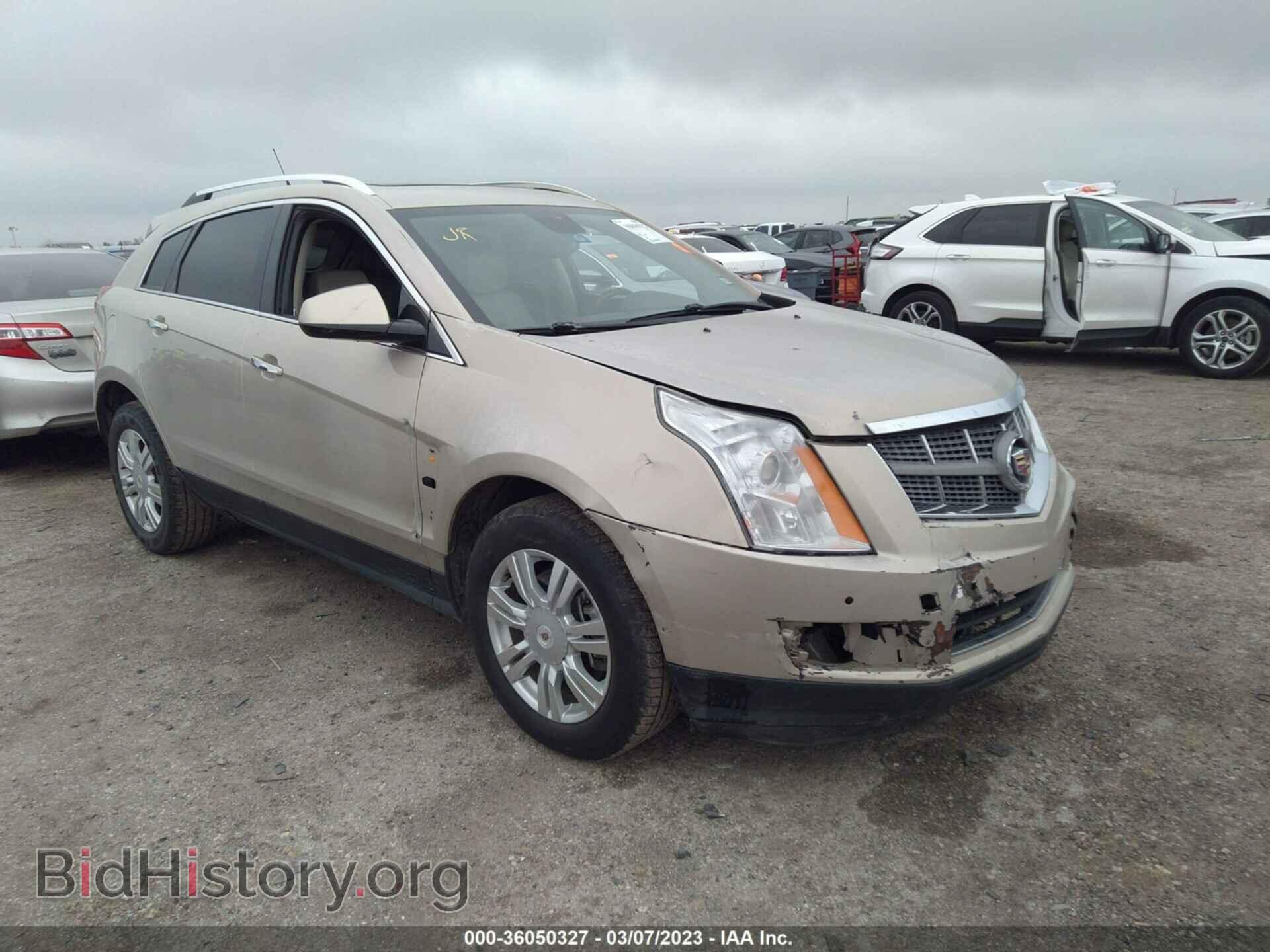 Фотография 3GYFNAEY0AS549038 - CADILLAC SRX 2010