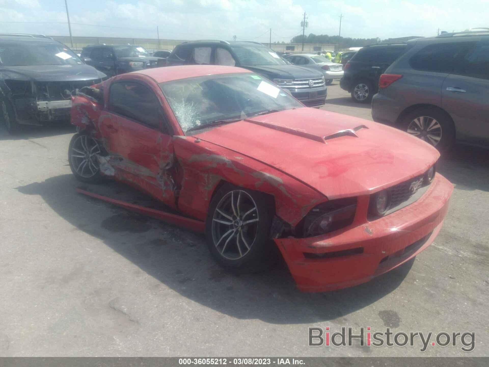 Photo 1ZVHT82H065163784 - FORD MUSTANG 2006
