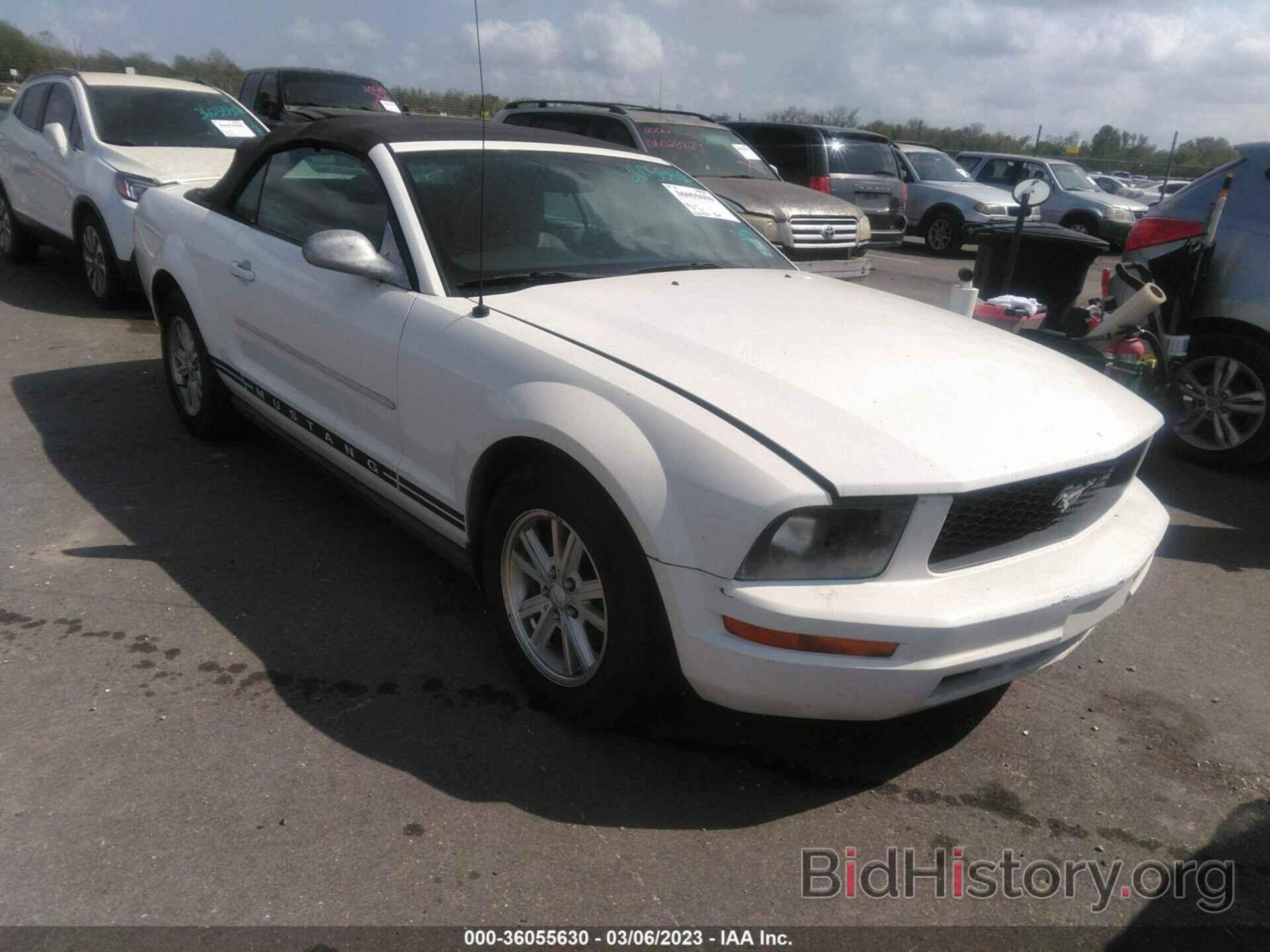 Photo 1ZVHT84NX85140535 - FORD MUSTANG 2008