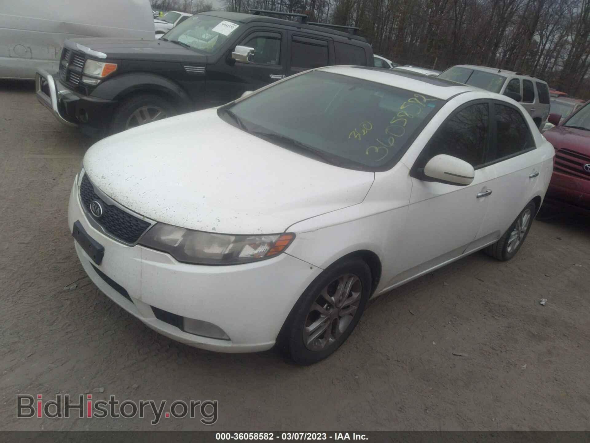 2011 KIA FORTE - VIN: KNAFU4A21B5384265 - Фото 2