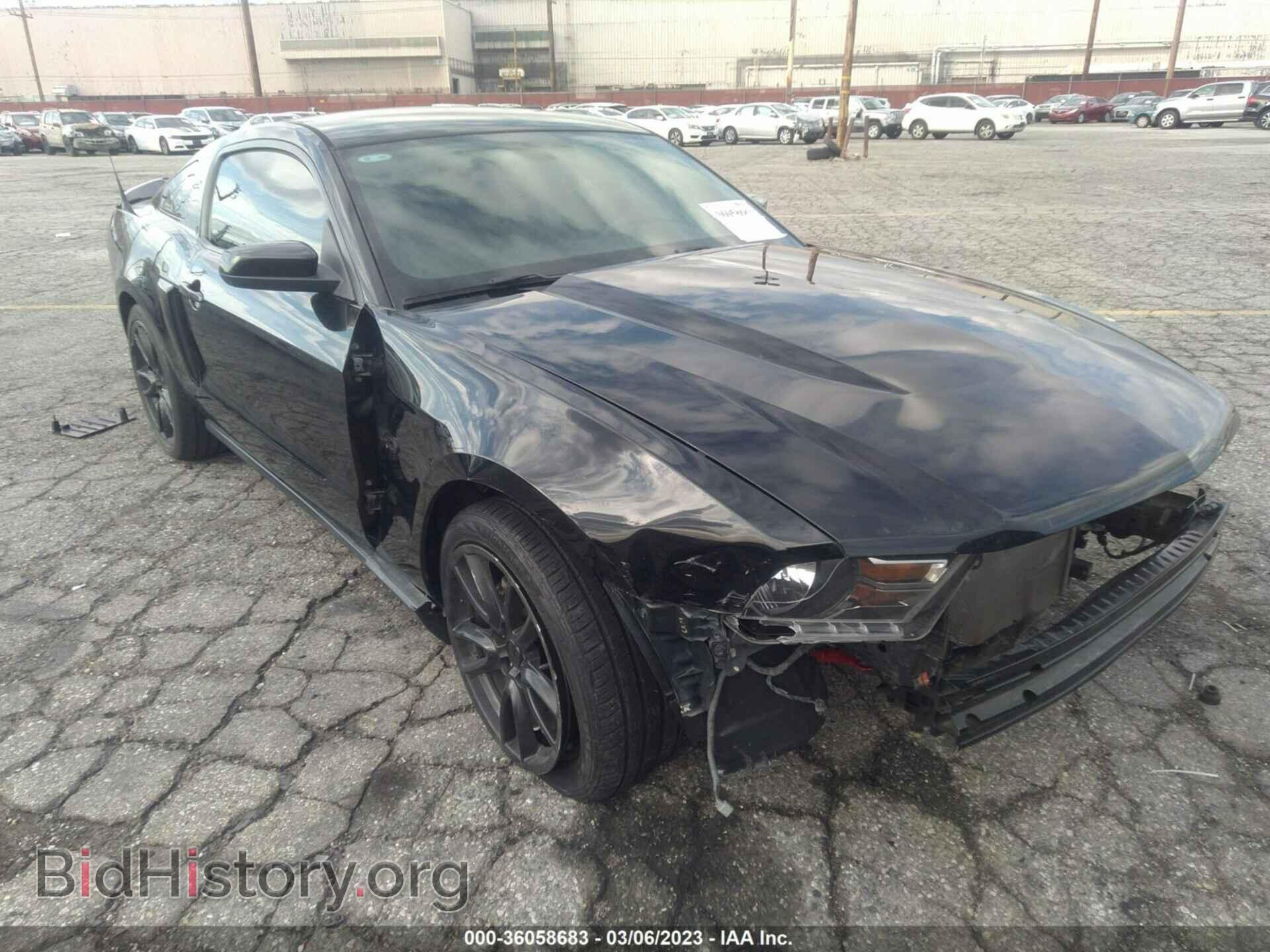 Фотография 1ZVBP8CF3B5163117 - FORD MUSTANG 2011
