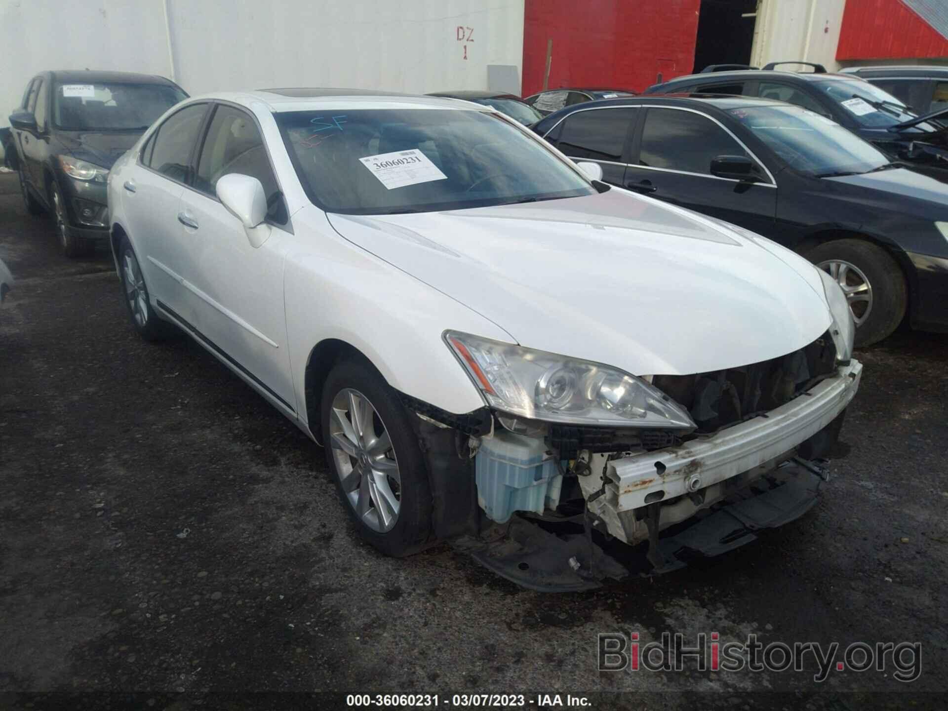 Photo JTHBK1EG8C2506603 - LEXUS ES 350 2012