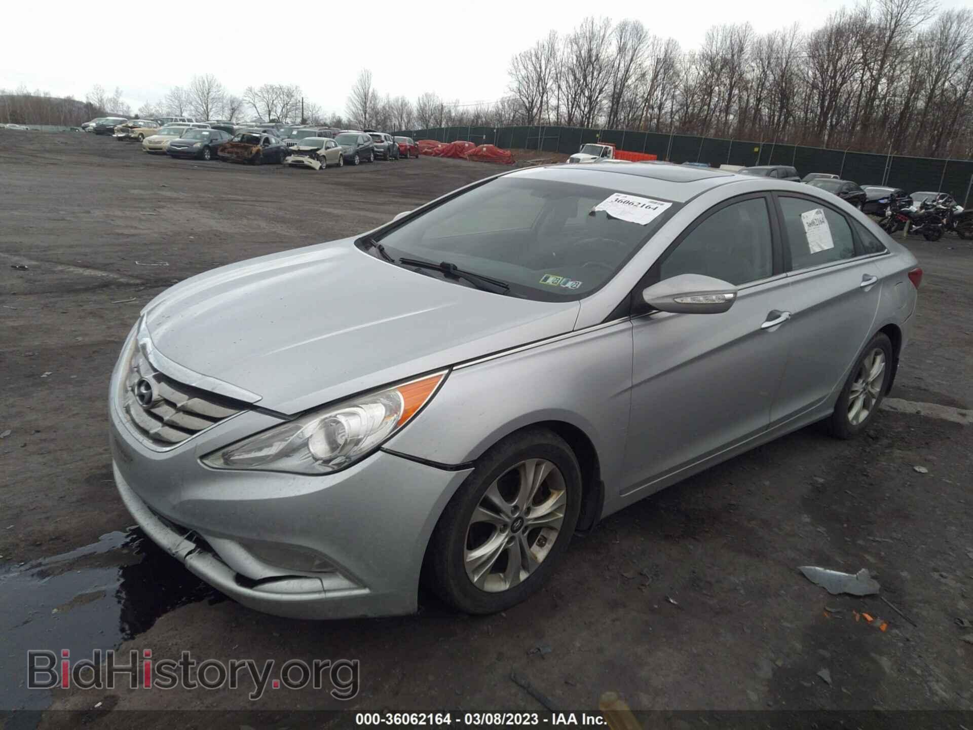 2013 HYUNDAI SONATA - VIN: 5NPEC4AC0DH564656 - Фото 2