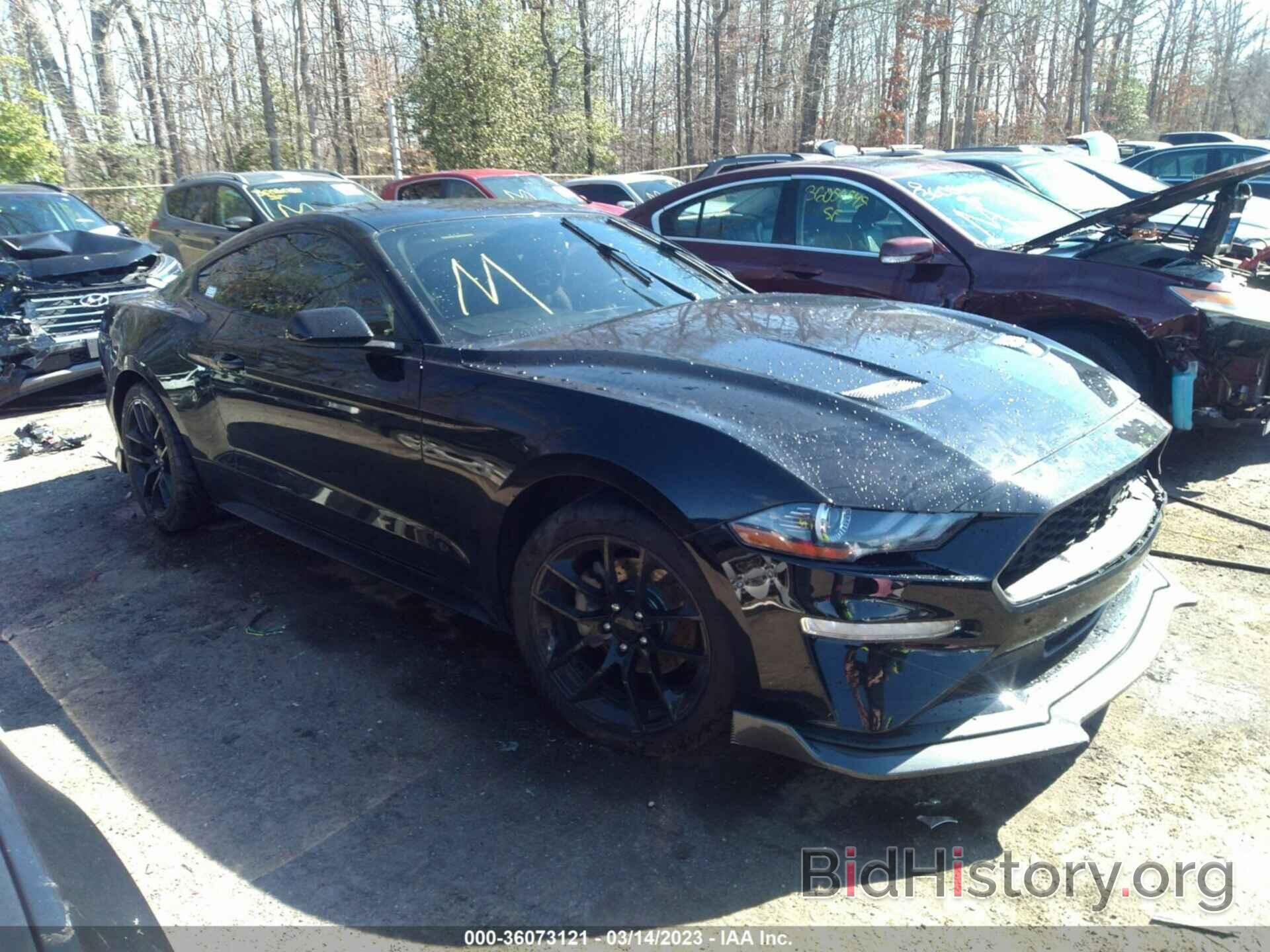 Photo 1FA6P8TH2K5152332 - FORD MUSTANG 2019