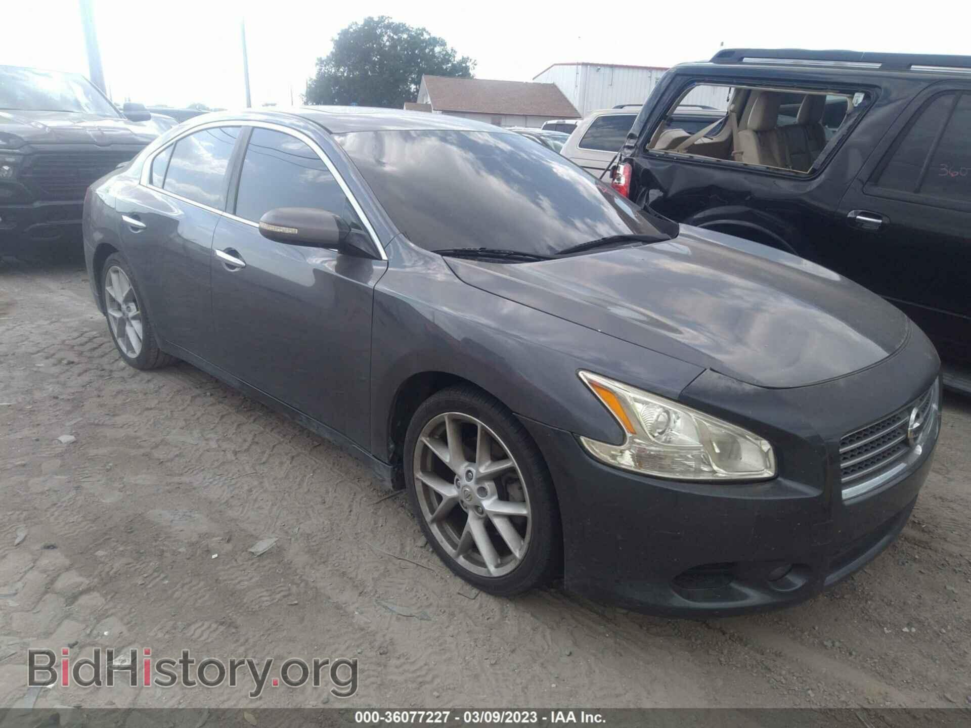 Photo 1N4AA51E99C804646 - NISSAN MAXIMA 2009