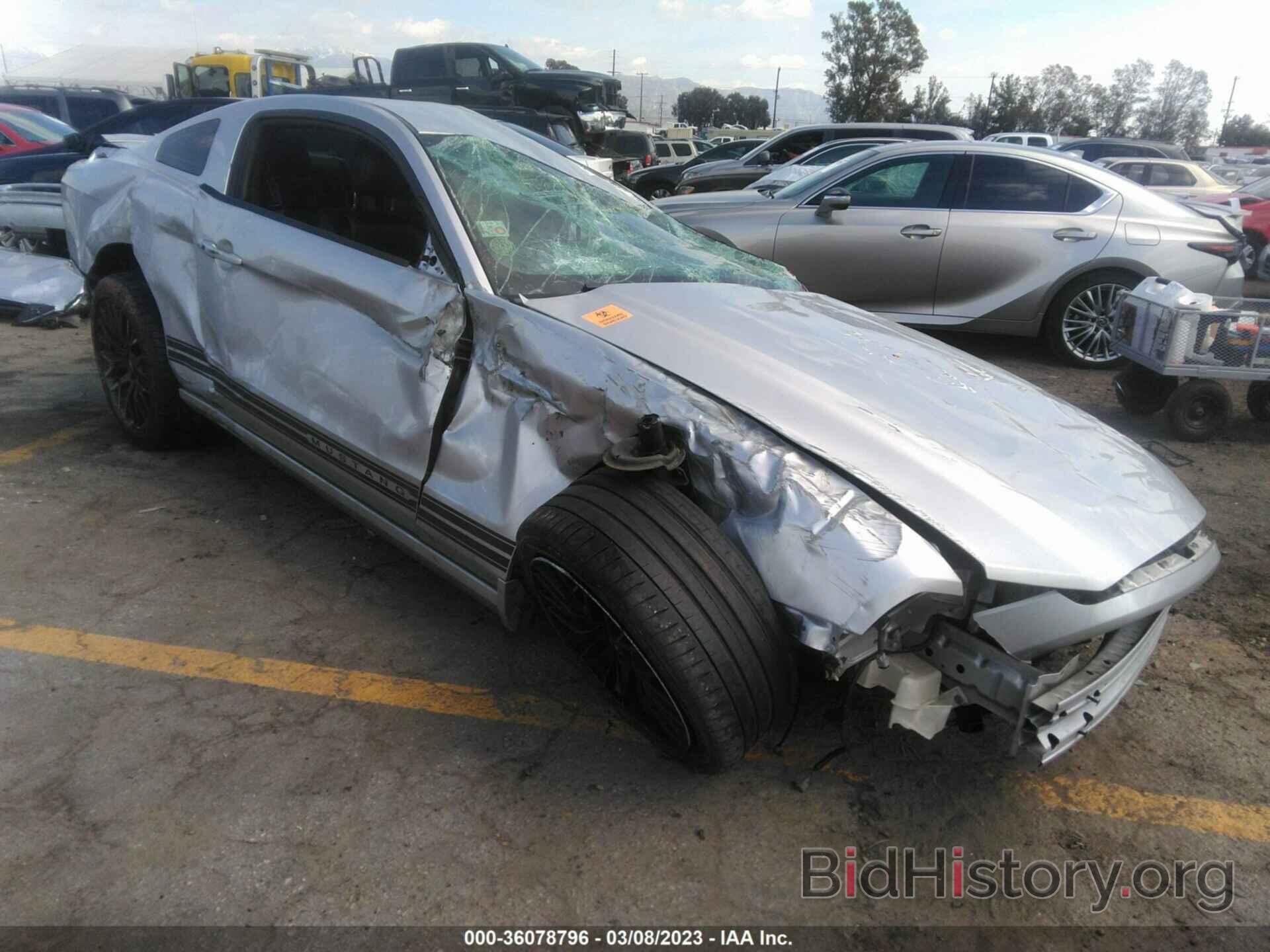 Photo 1ZVBP8AM4E5245444 - FORD MUSTANG 2014