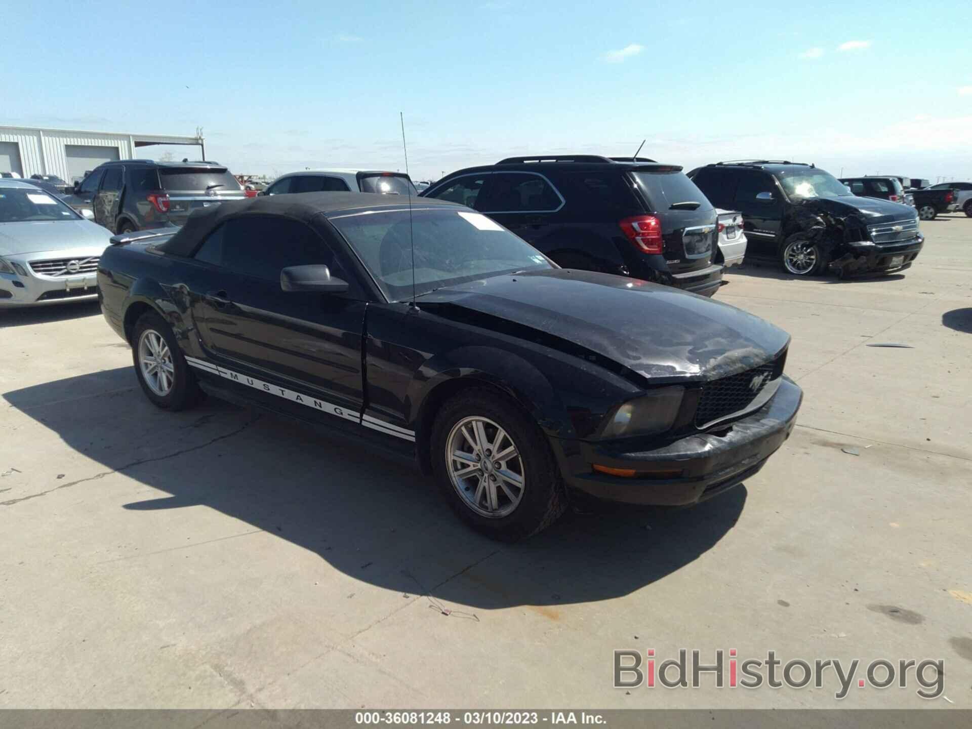 Photo 1ZVFT84N975333734 - FORD MUSTANG 2007