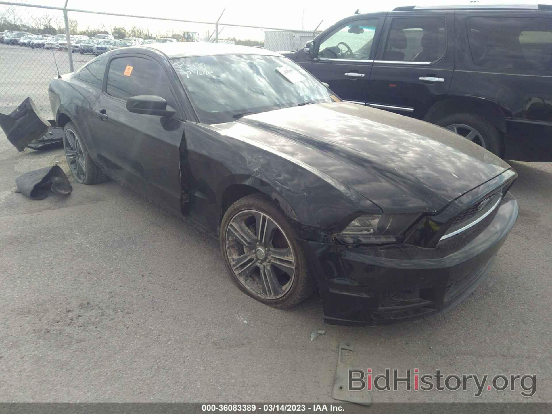 Photo 1ZVBP8AM7E5246569 - FORD MUSTANG 2014