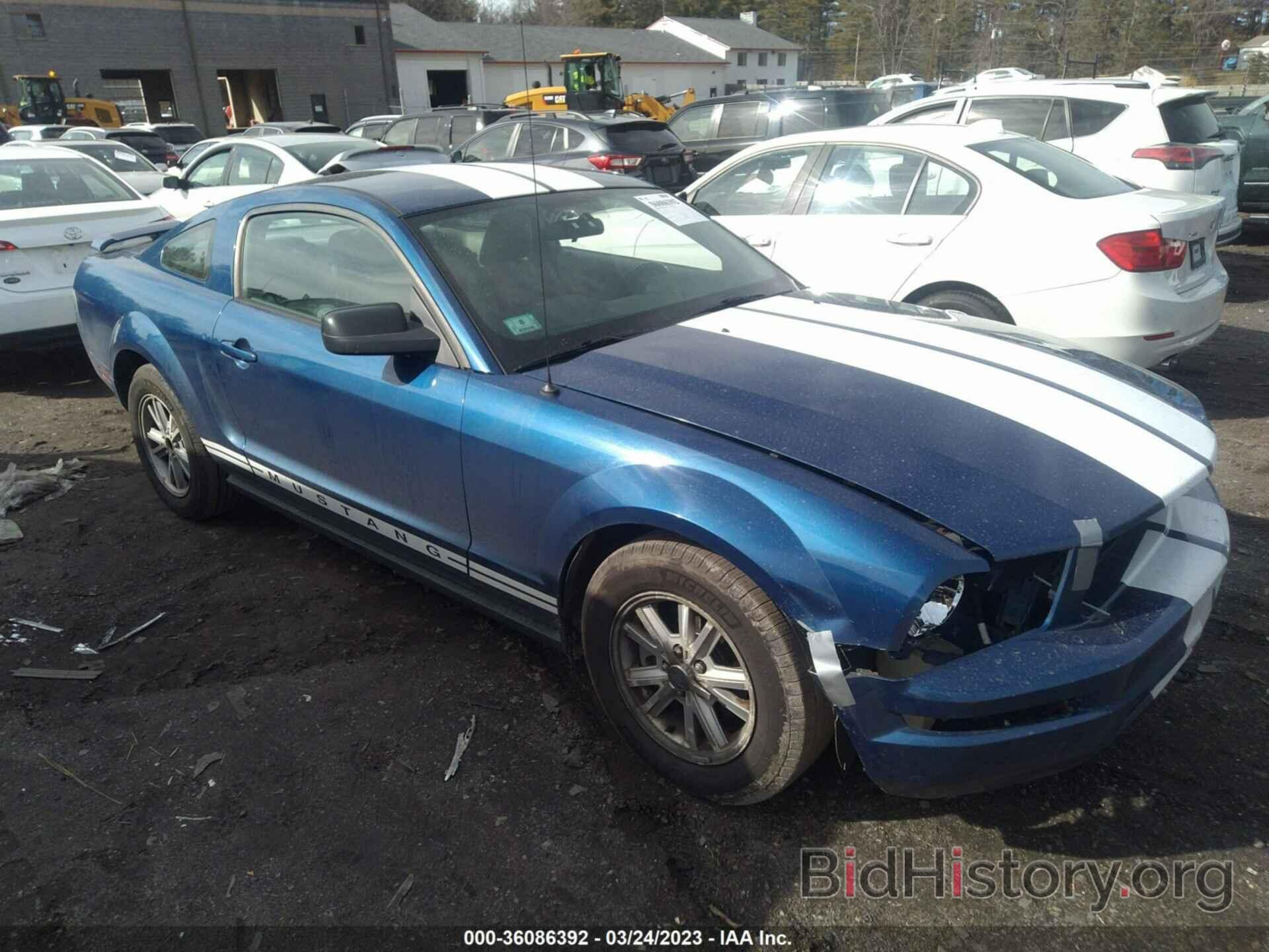 Photo 1ZVFT80N865127616 - FORD MUSTANG 2006
