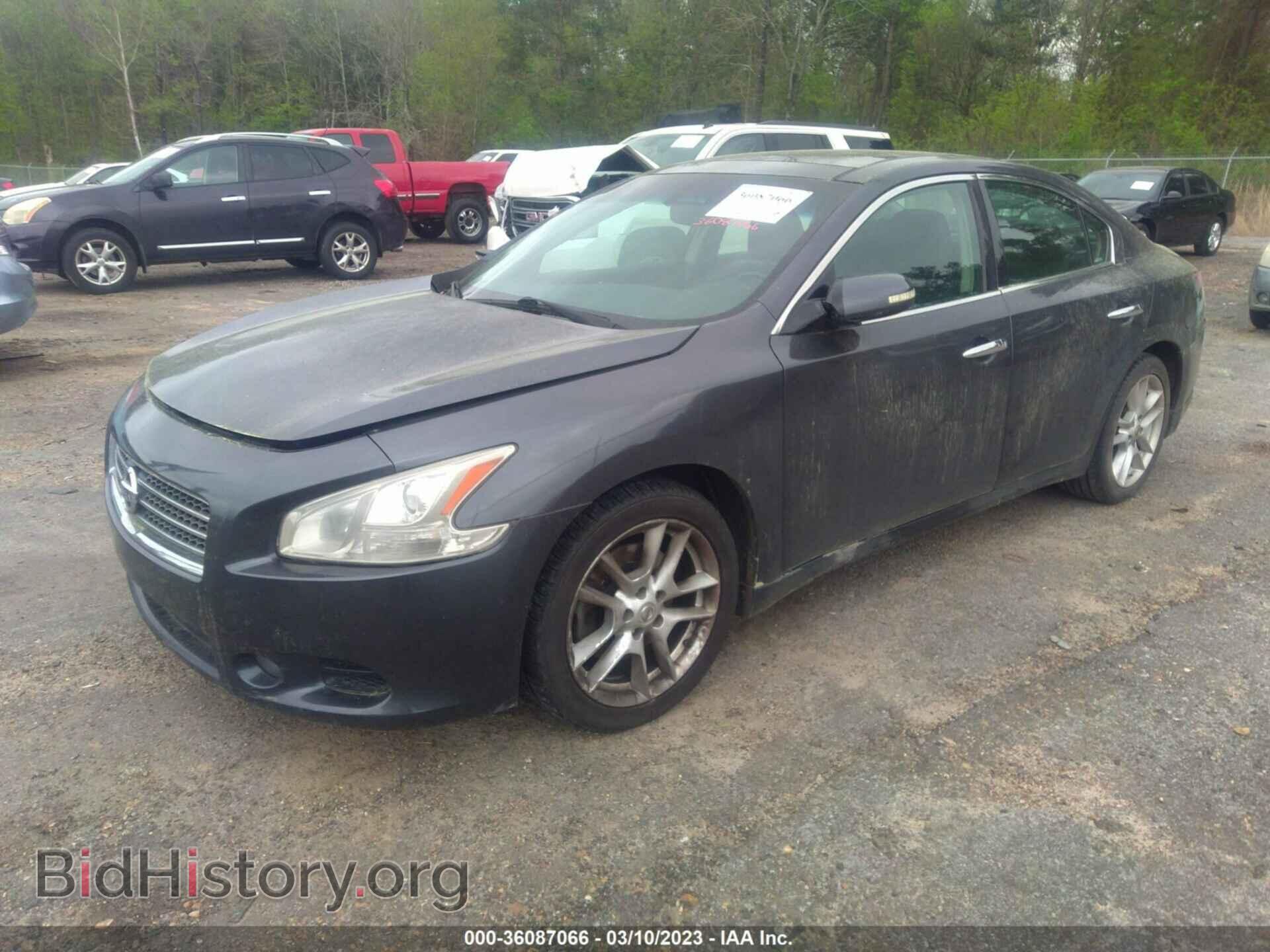 2010 NISSAN MAXIMA - VIN: 1N4AA5AP0AC831112 - Фото 2