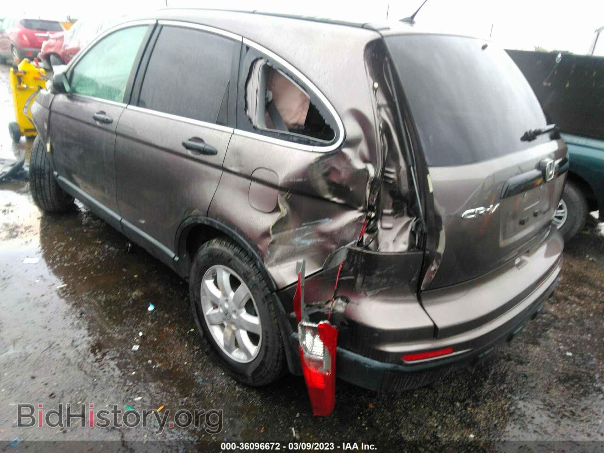 2011 HONDA CR-V - VIN: 5J6RE3H42BL052131 - Фото 3