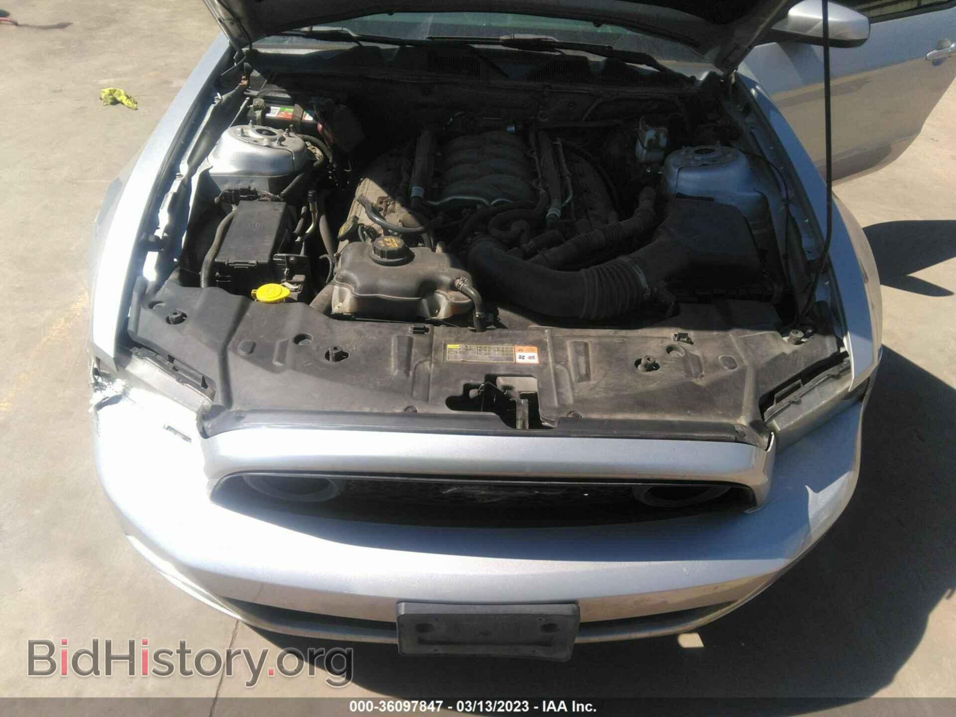 2013 FORD MUSTANG - VIN: 1ZVBP8CF3D5238661 - Фото 10