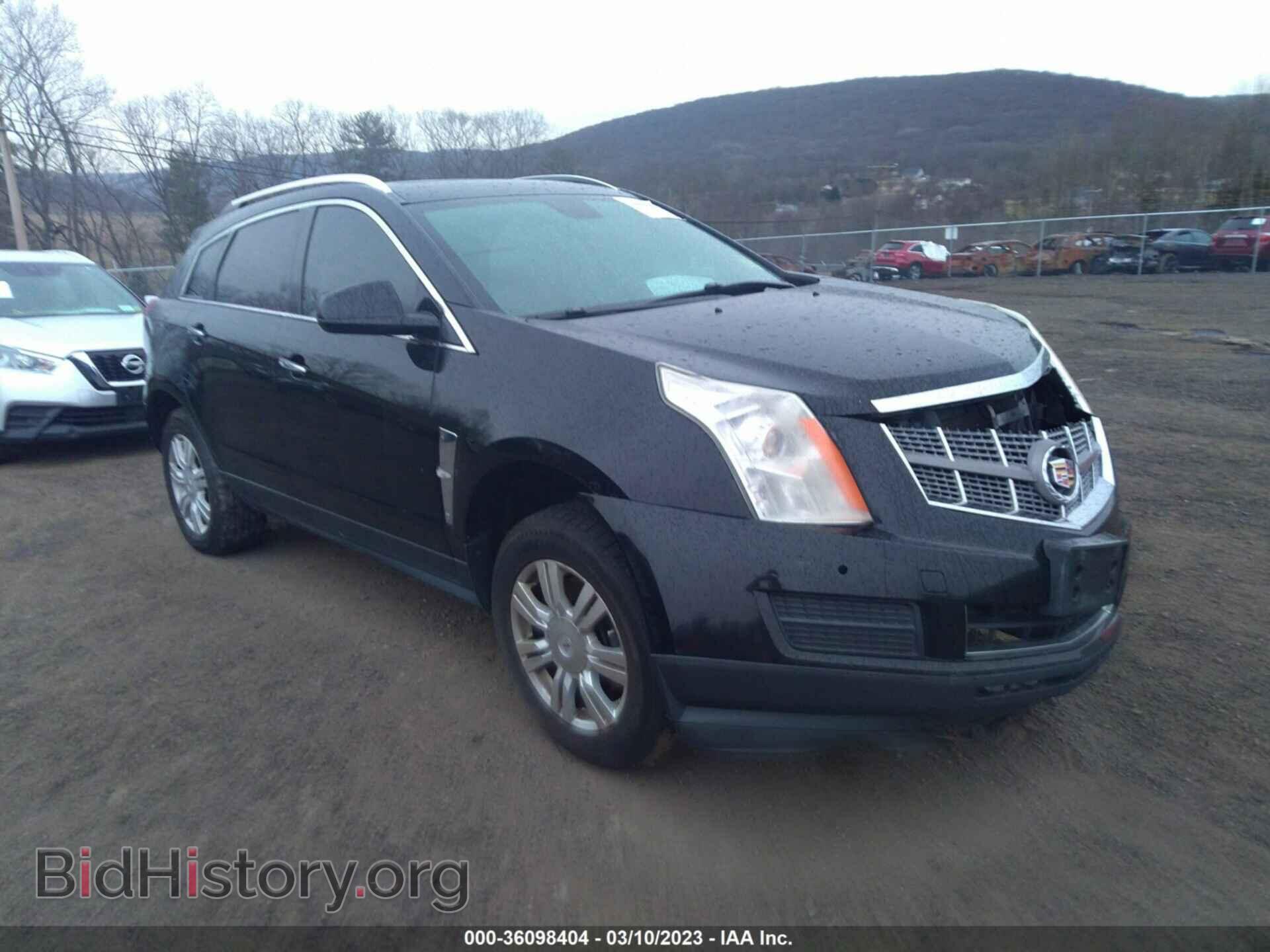 Фотография 3GYFNAEY2AS623883 - CADILLAC SRX 2010
