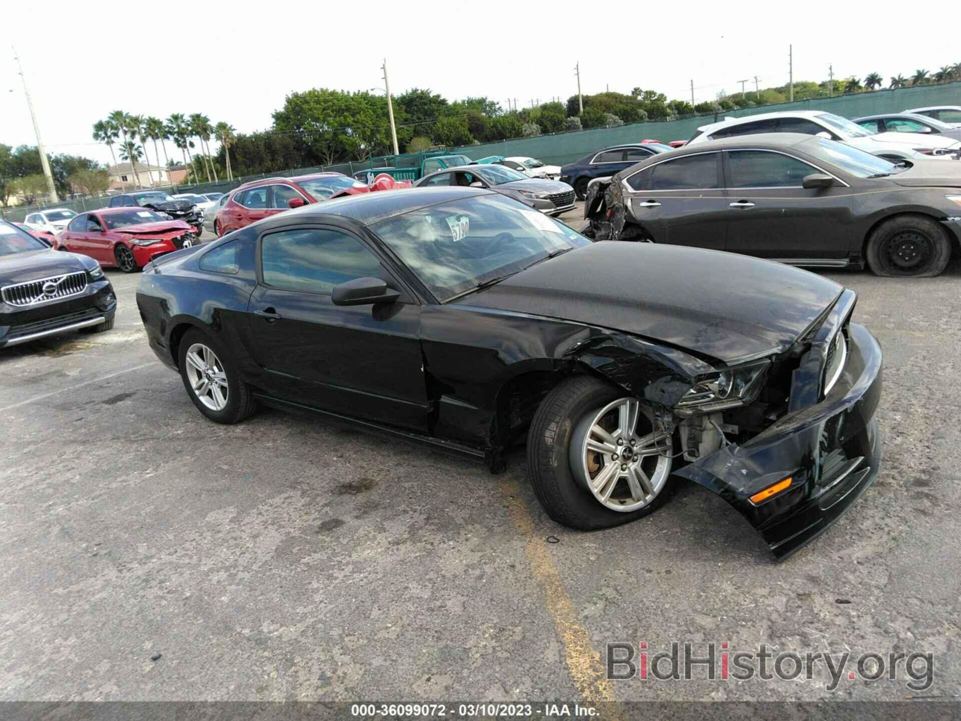 Photo 1ZVBP8AMXD5231207 - FORD MUSTANG 2013