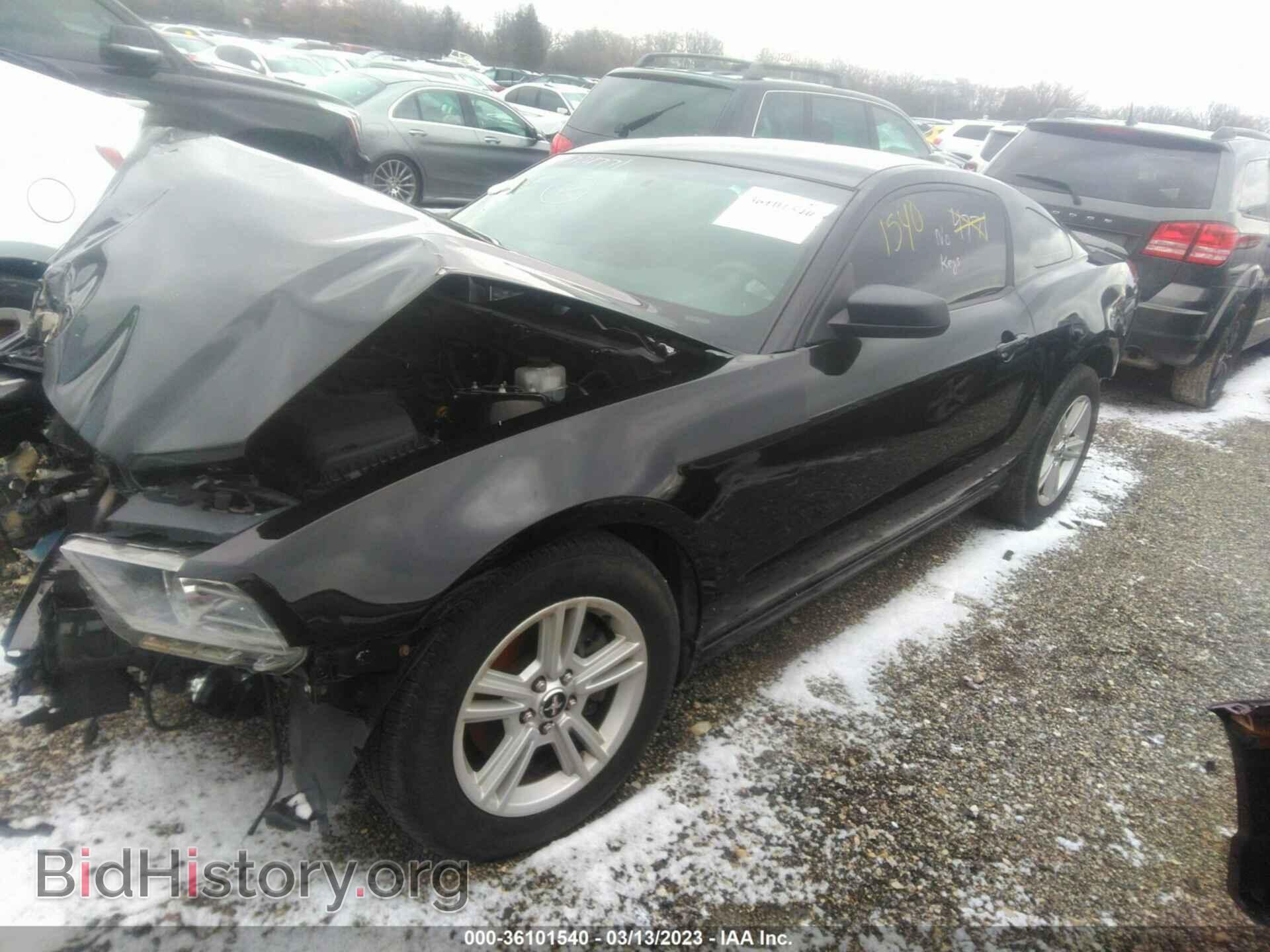 2013 FORD MUSTANG - VIN: 1ZVBP8AMXD5200538 - Фото 2