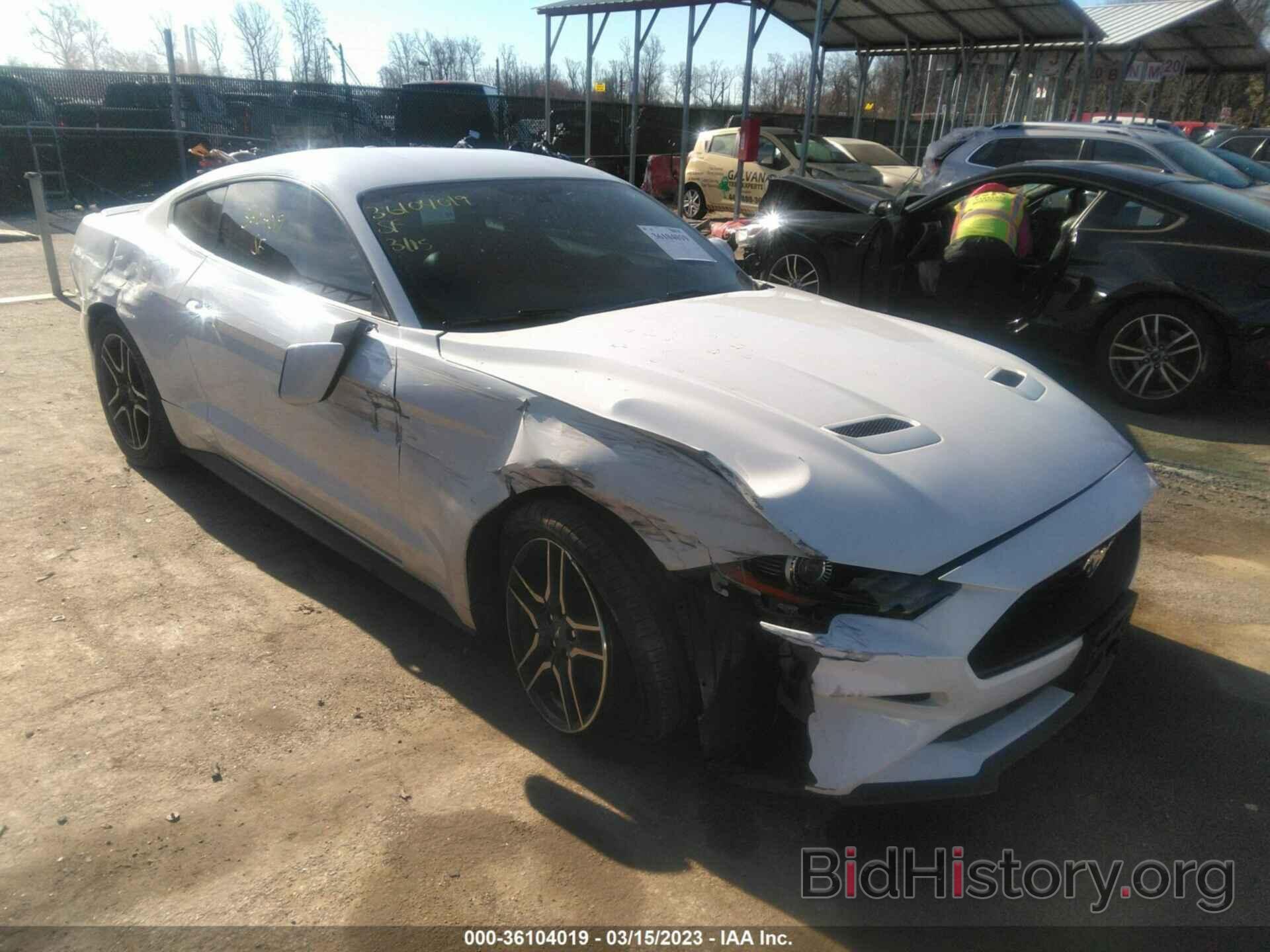 Photo 1FA6P8TH0K5172515 - FORD MUSTANG 2019