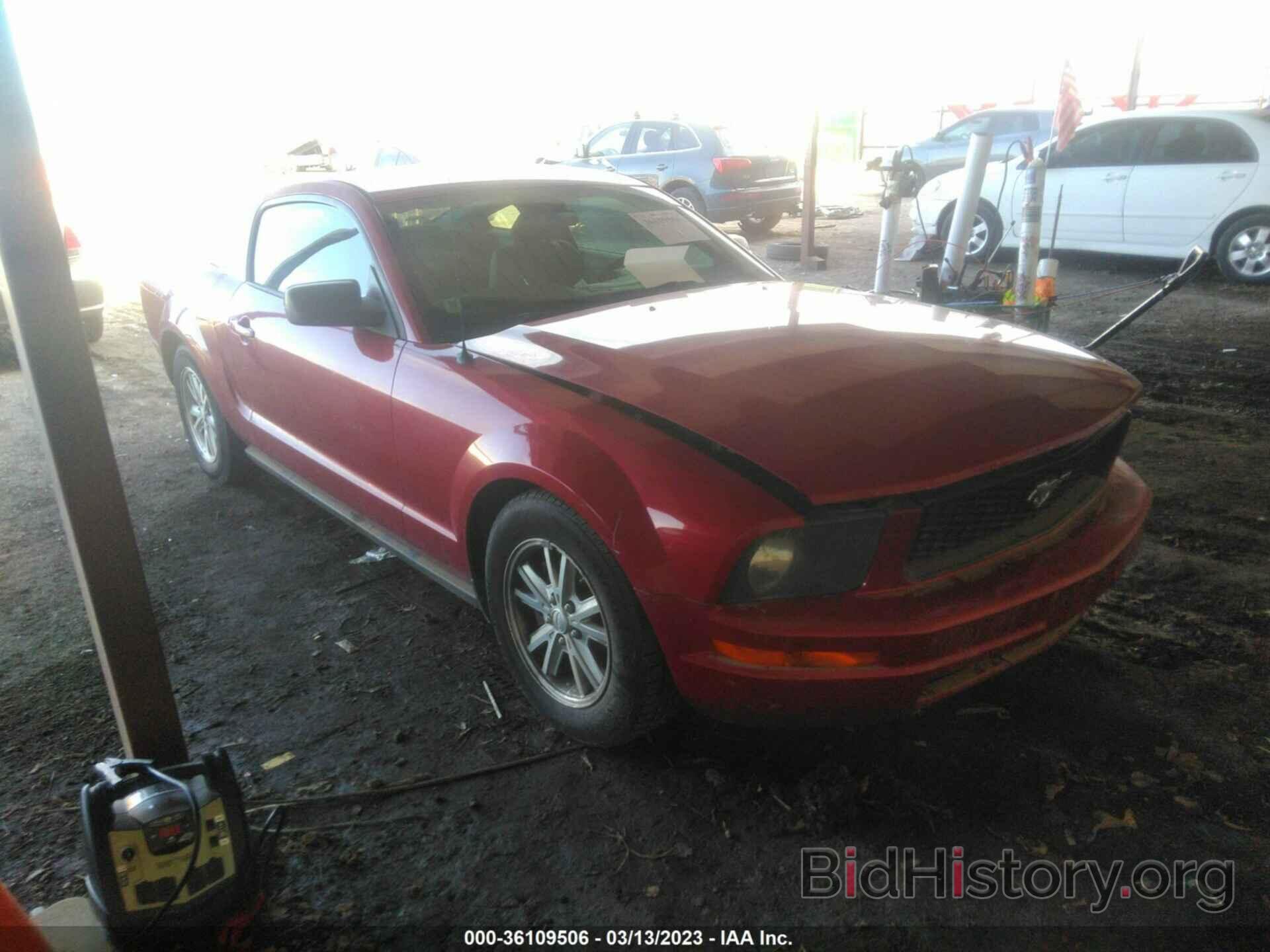 Photo 1ZVHT80N685109126 - FORD MUSTANG 2008