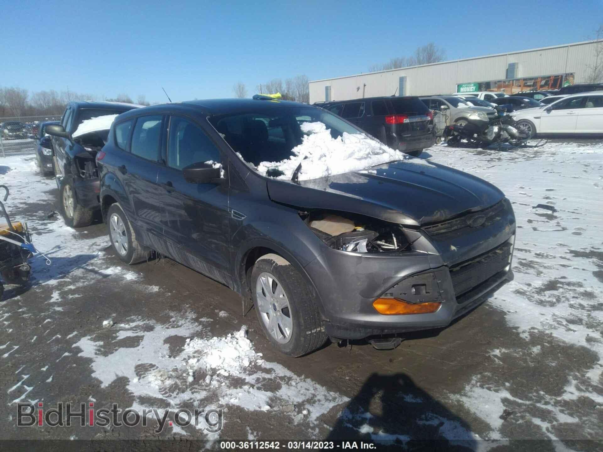 Photo 1FMCU0F77DUB81372 - FORD ESCAPE 2013