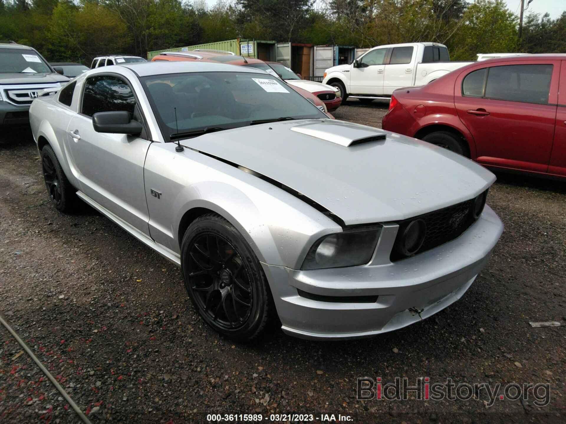 Photo 1ZVHT82H785149013 - FORD MUSTANG 2008