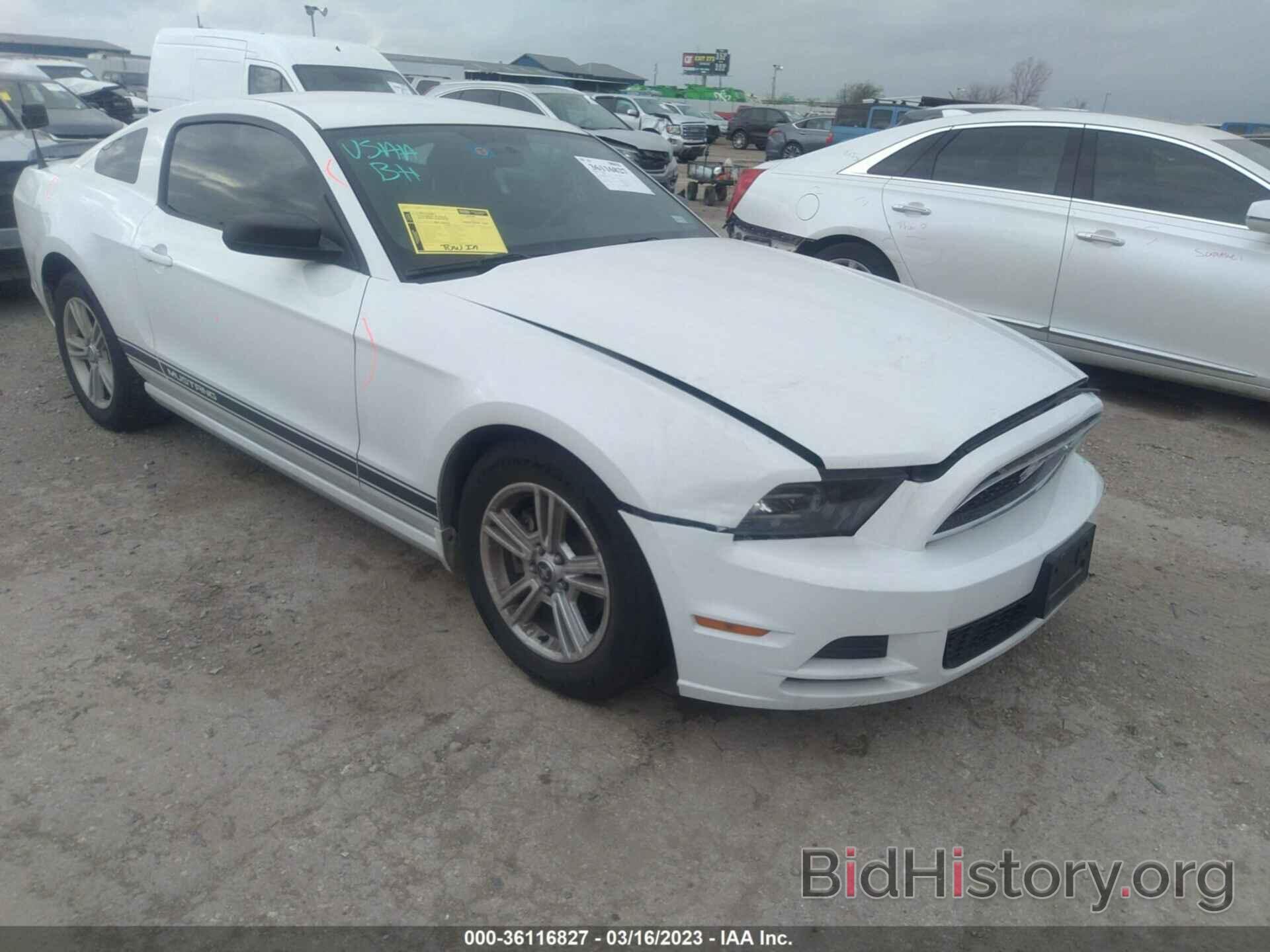 Photo 1ZVBP8AM0E5331866 - FORD MUSTANG 2014