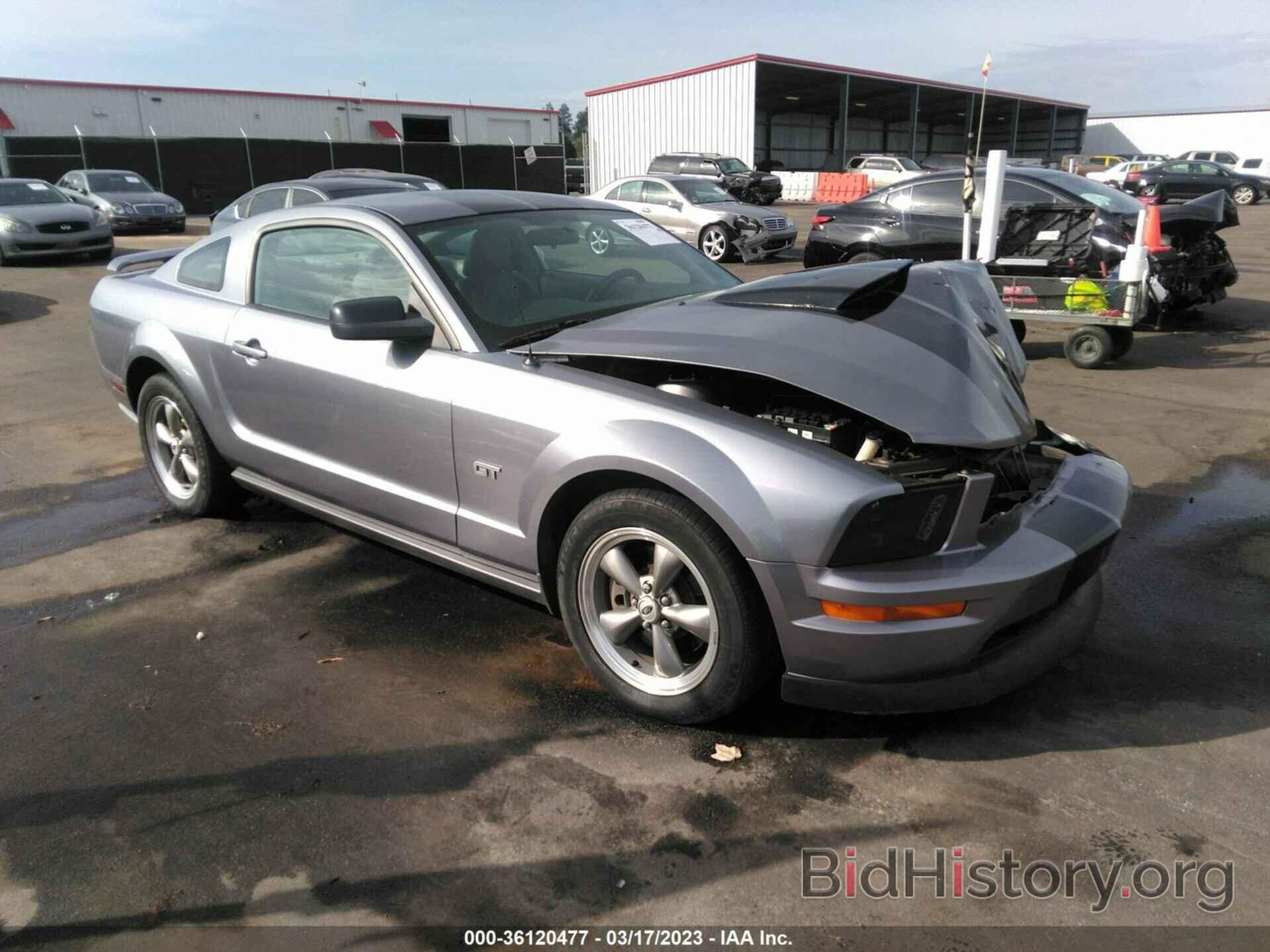 Photo 1ZVFT82H465199937 - FORD MUSTANG 2006