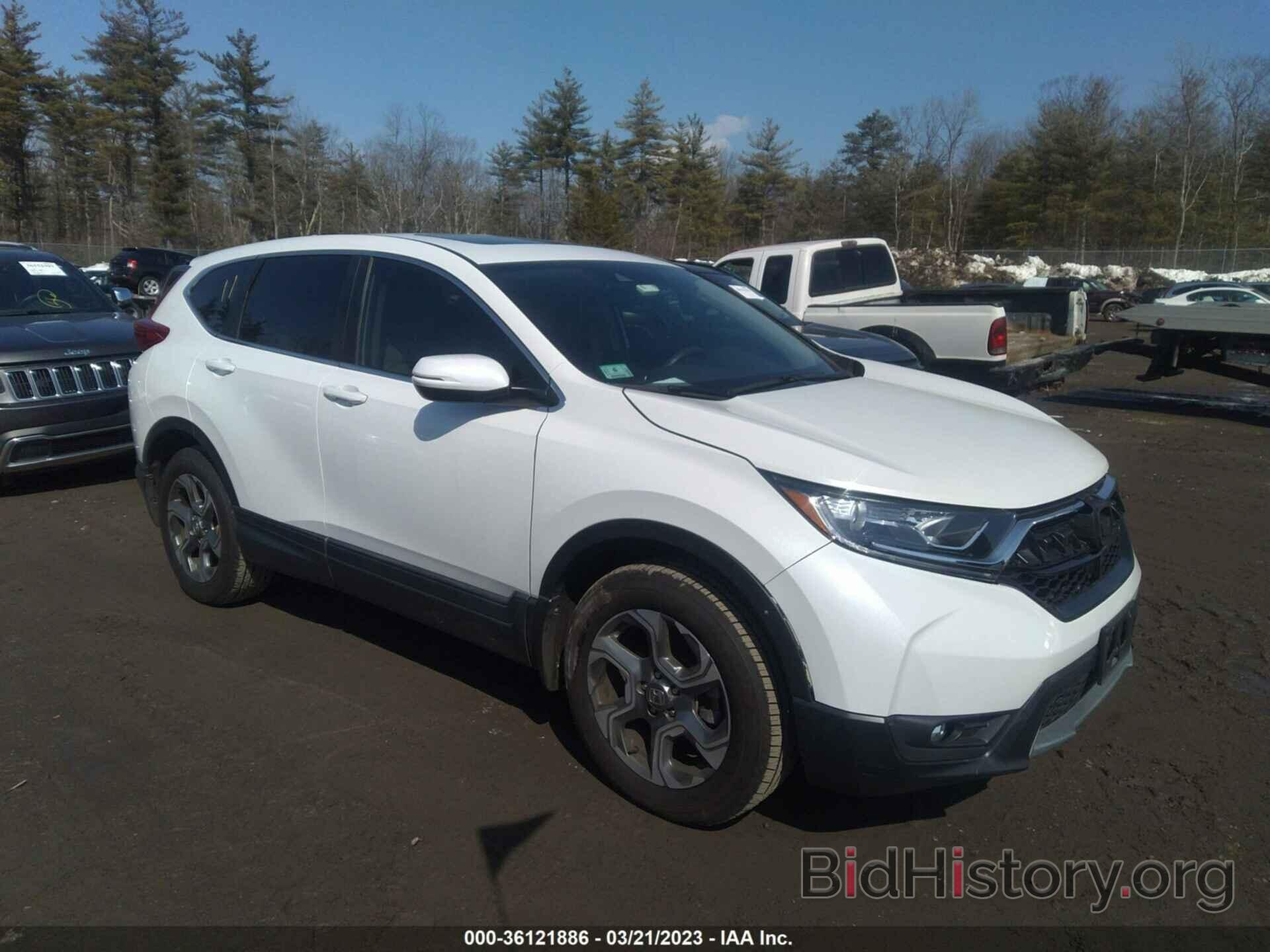 Photo 2HKRW2H58KH644952 - HONDA CR-V 2019