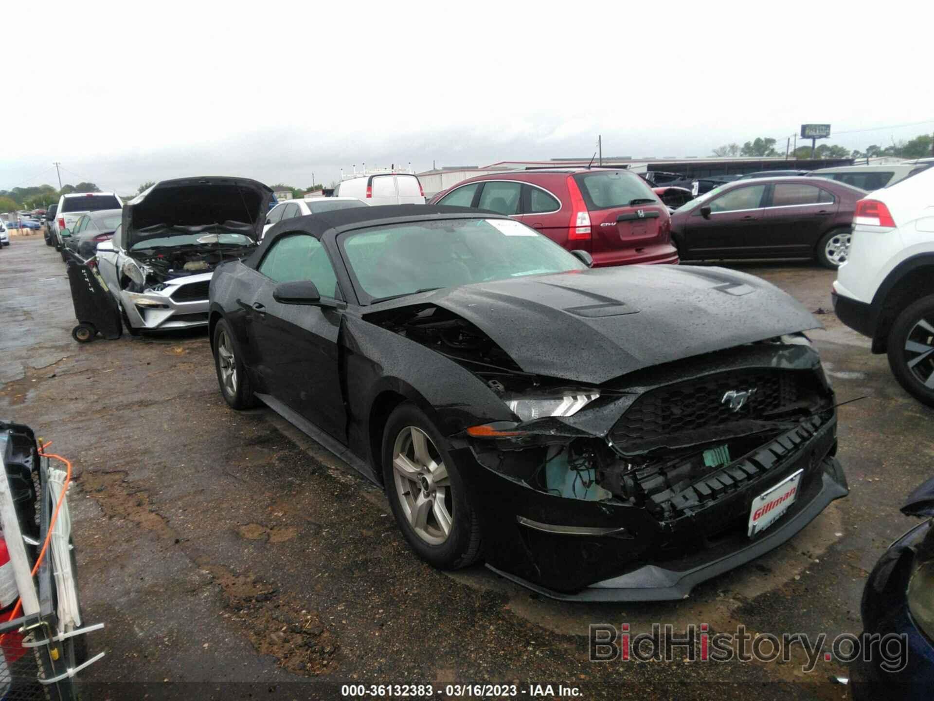 Photo 1FATP8UH8K5205505 - FORD MUSTANG 2019