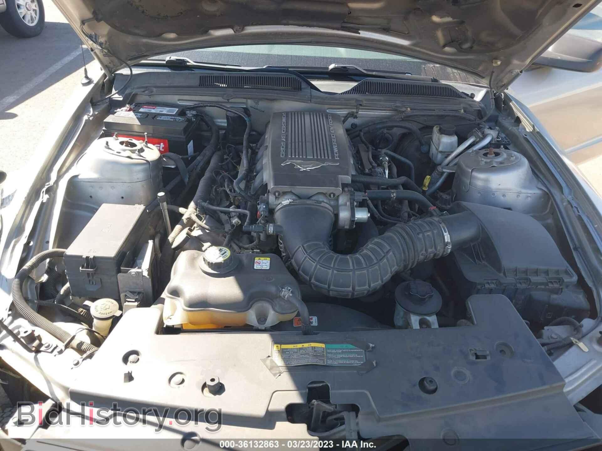 2009 FORD MUSTANG - VIN: 1ZVHT82H795119902 - Фото 10