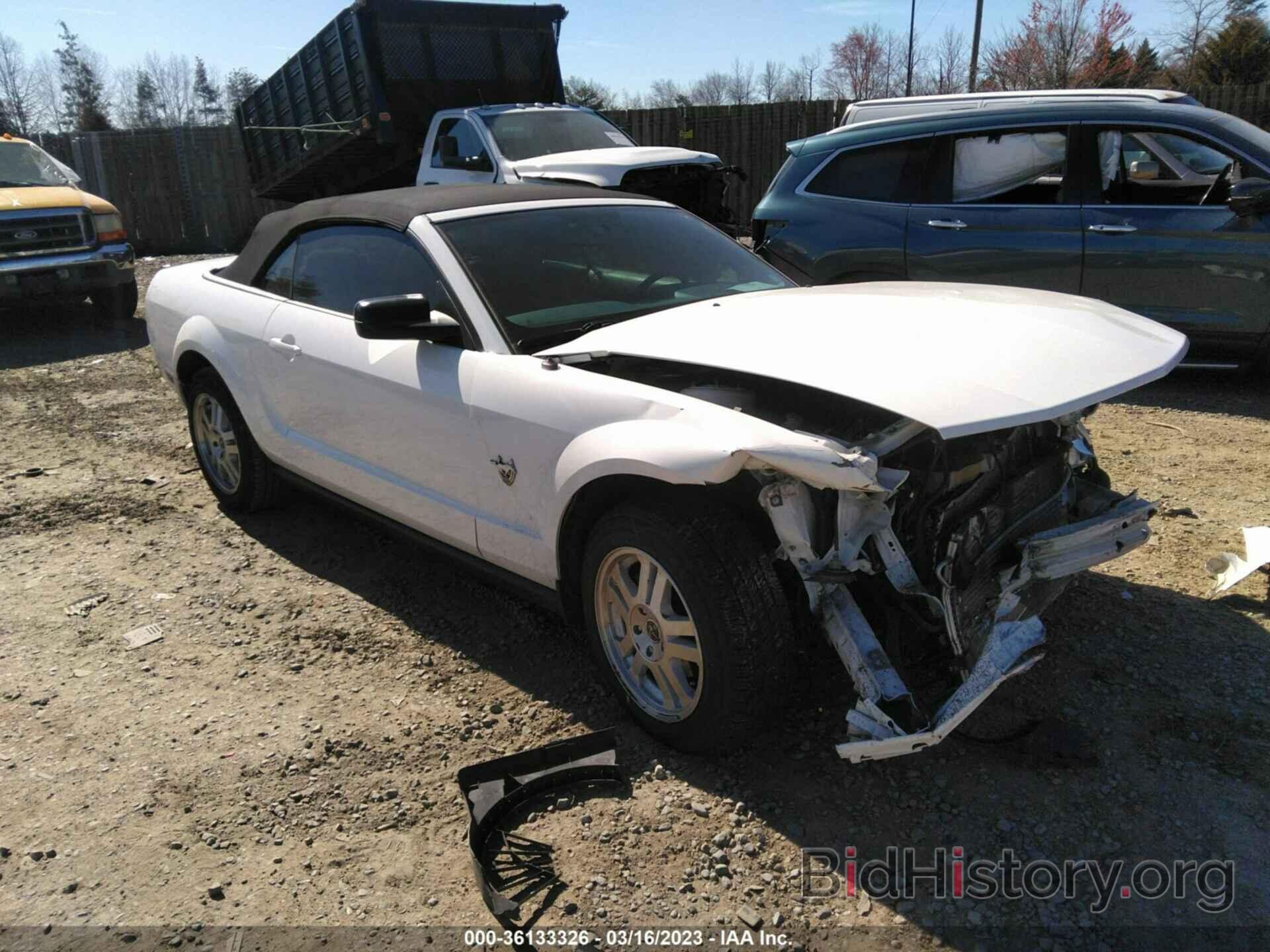Photo 1ZVHT84NX95126541 - FORD MUSTANG 2009