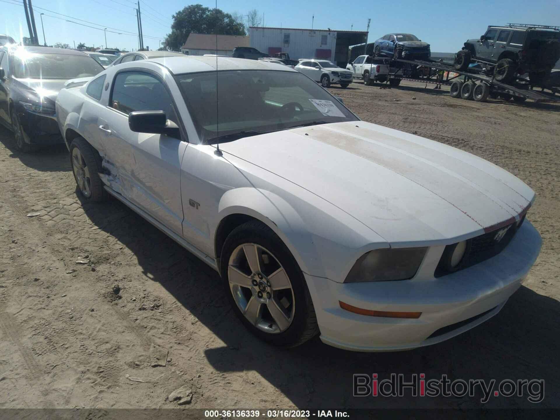 Photo 1ZVFT82H665219153 - FORD MUSTANG 2006