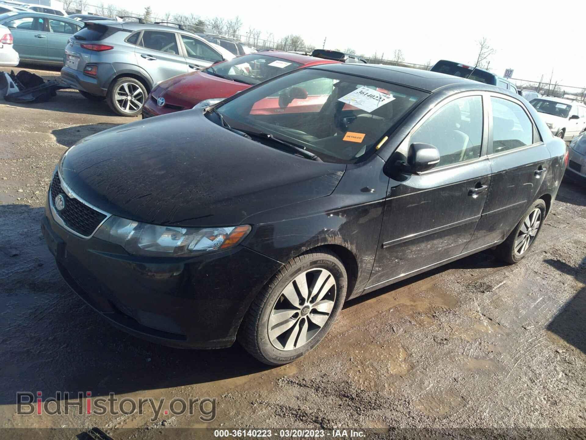 2013 KIA FORTE - VIN: KNAFU4A21D5721939 - Фото 2