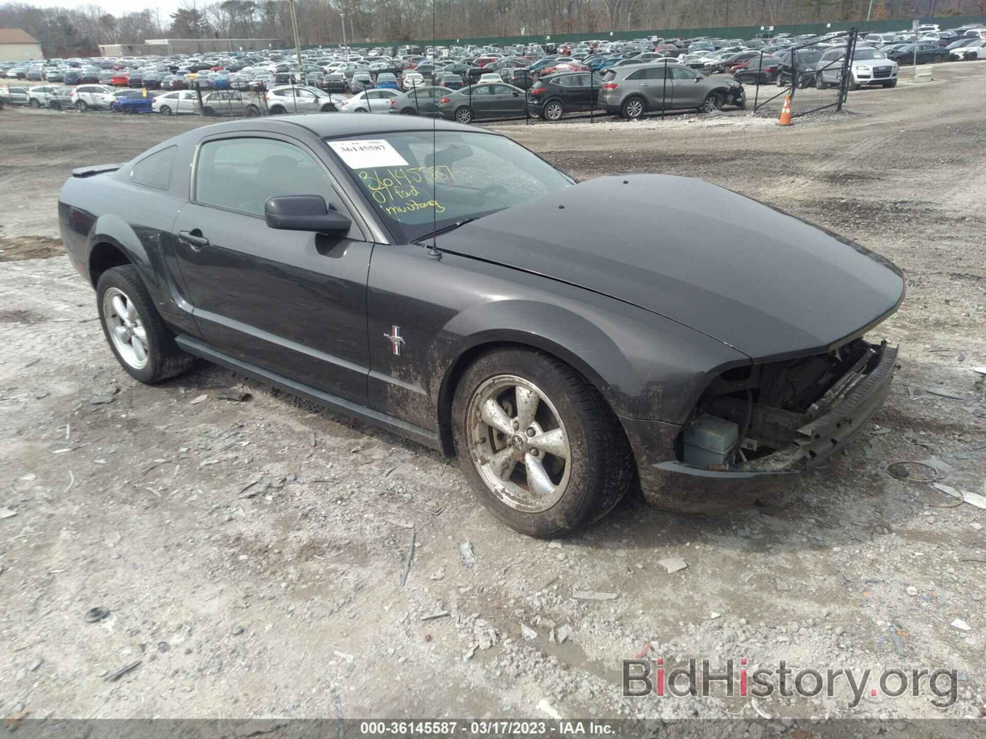 Photo 1ZVHT80N775362194 - FORD MUSTANG 2007