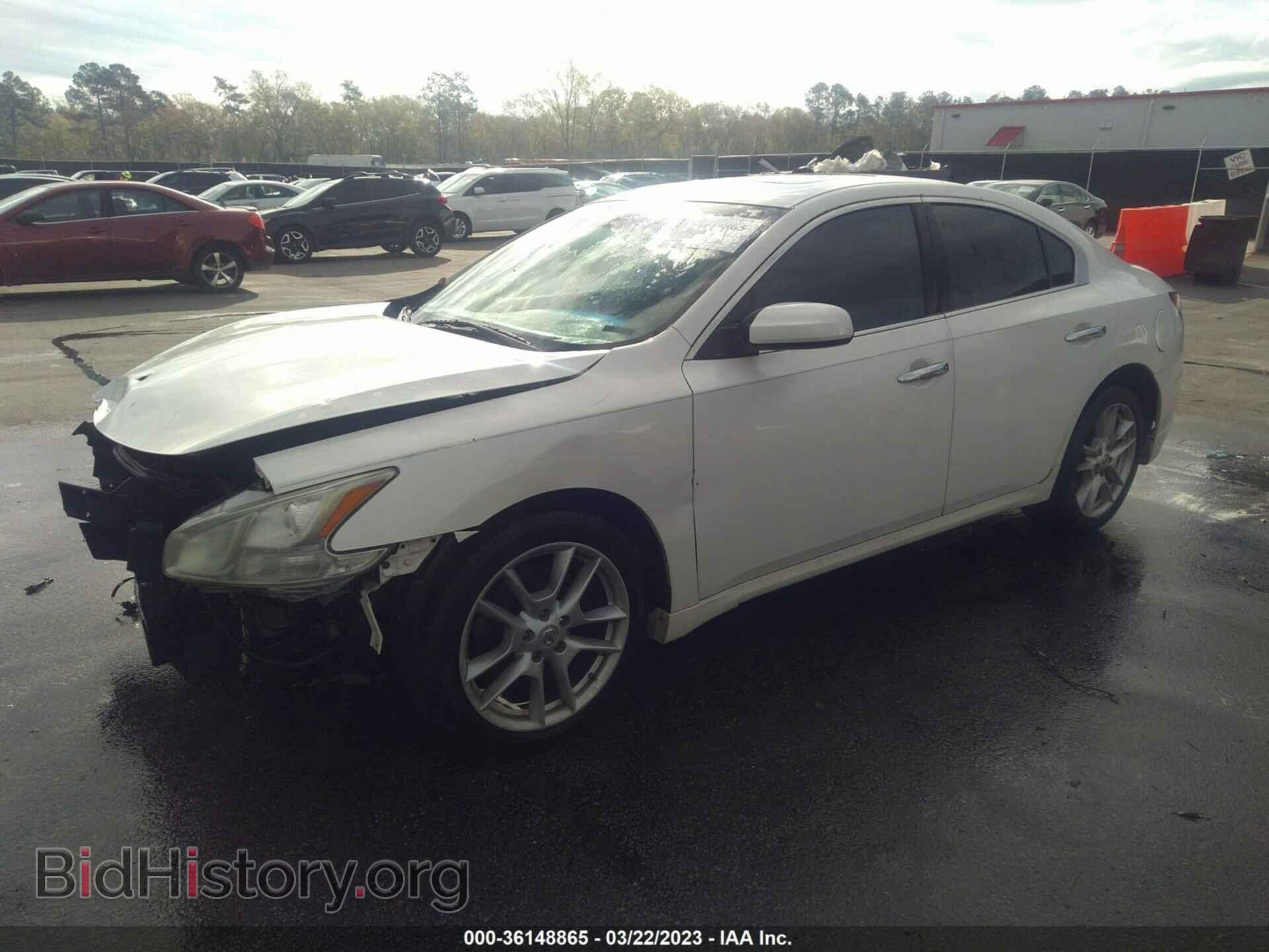 2009 NISSAN MAXIMA - VIN: 1N4AA51EX9C836134 - Фото 2