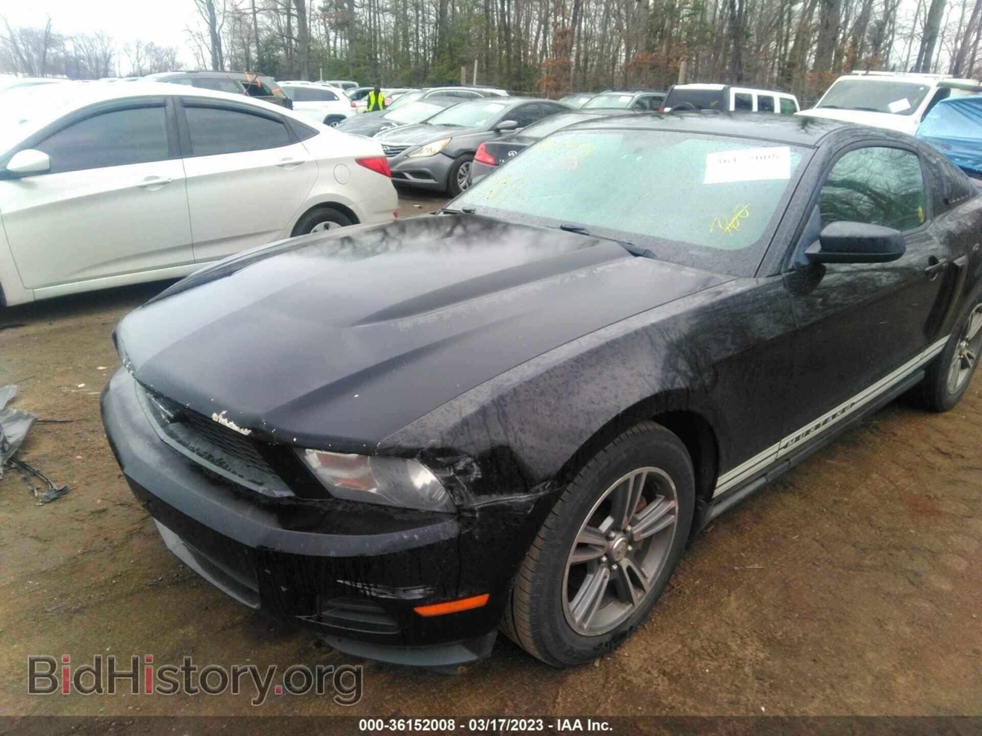 2010 FORD MUSTANG - VIN: 1ZVHP8AN2A5127213 - Фото 6