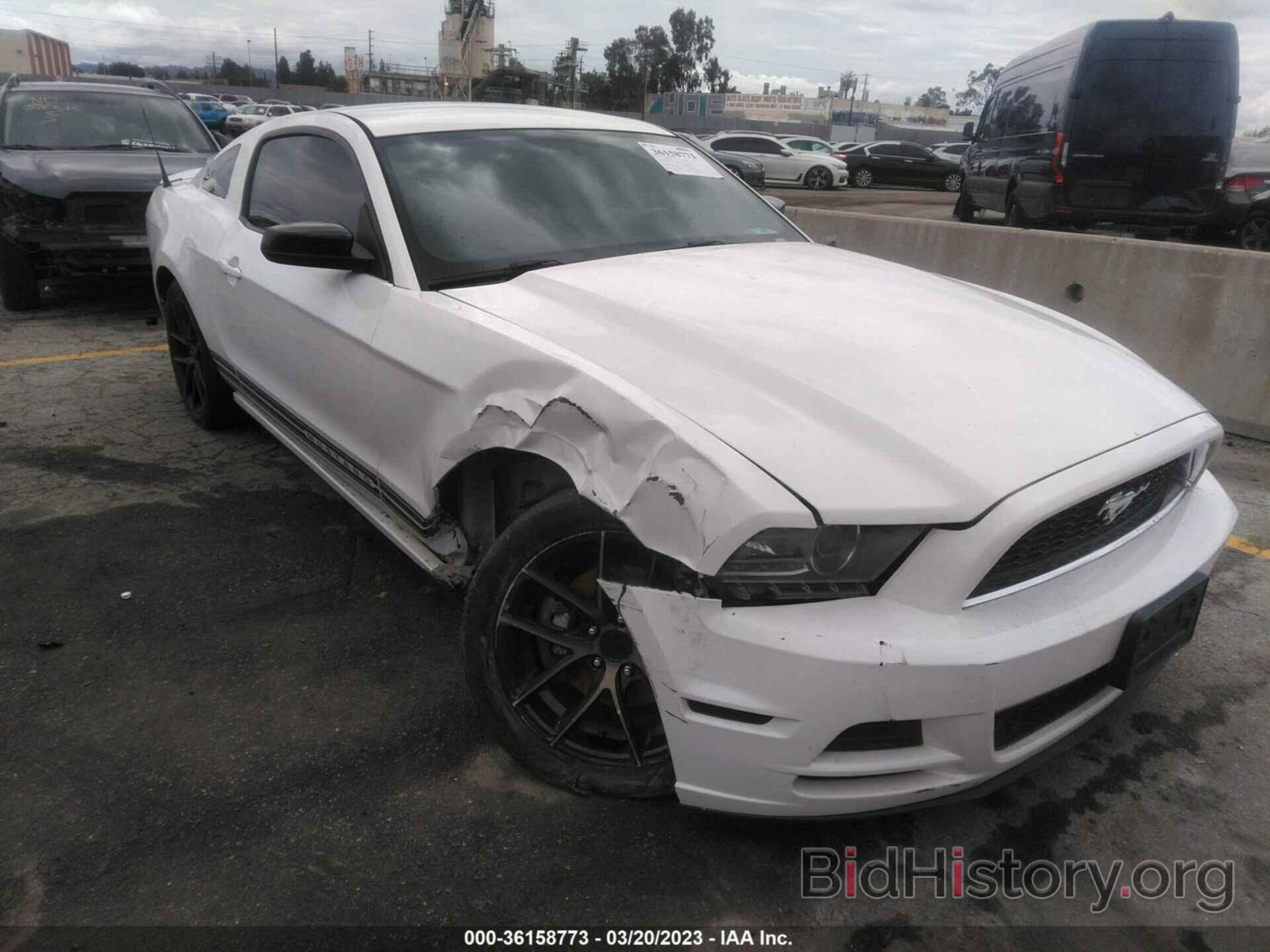 Photo 1ZVBP8AM1D5274706 - FORD MUSTANG 2013