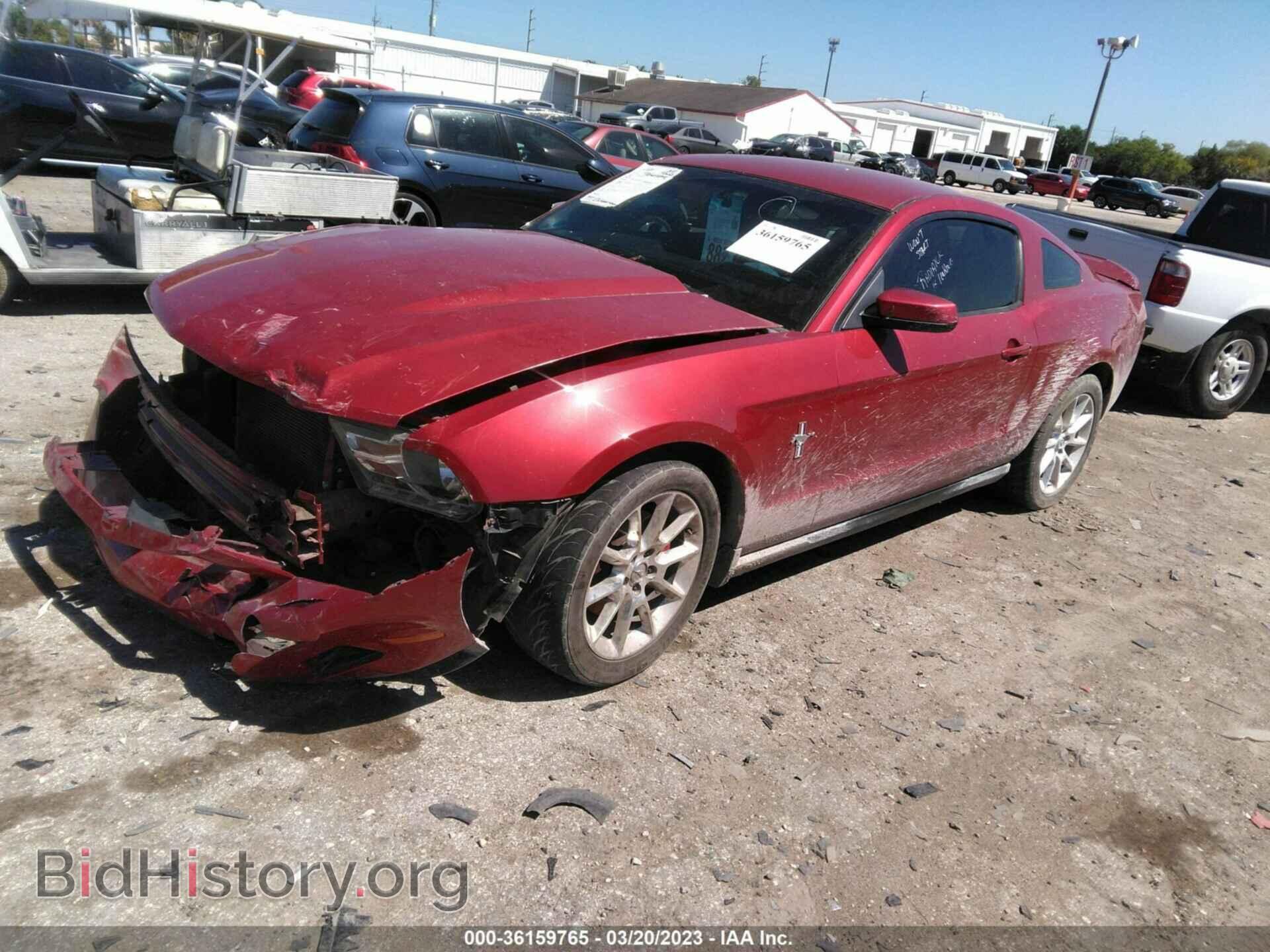 2011 FORD MUSTANG - VIN: 1ZVBP8AM6B5130484 - Фото 2
