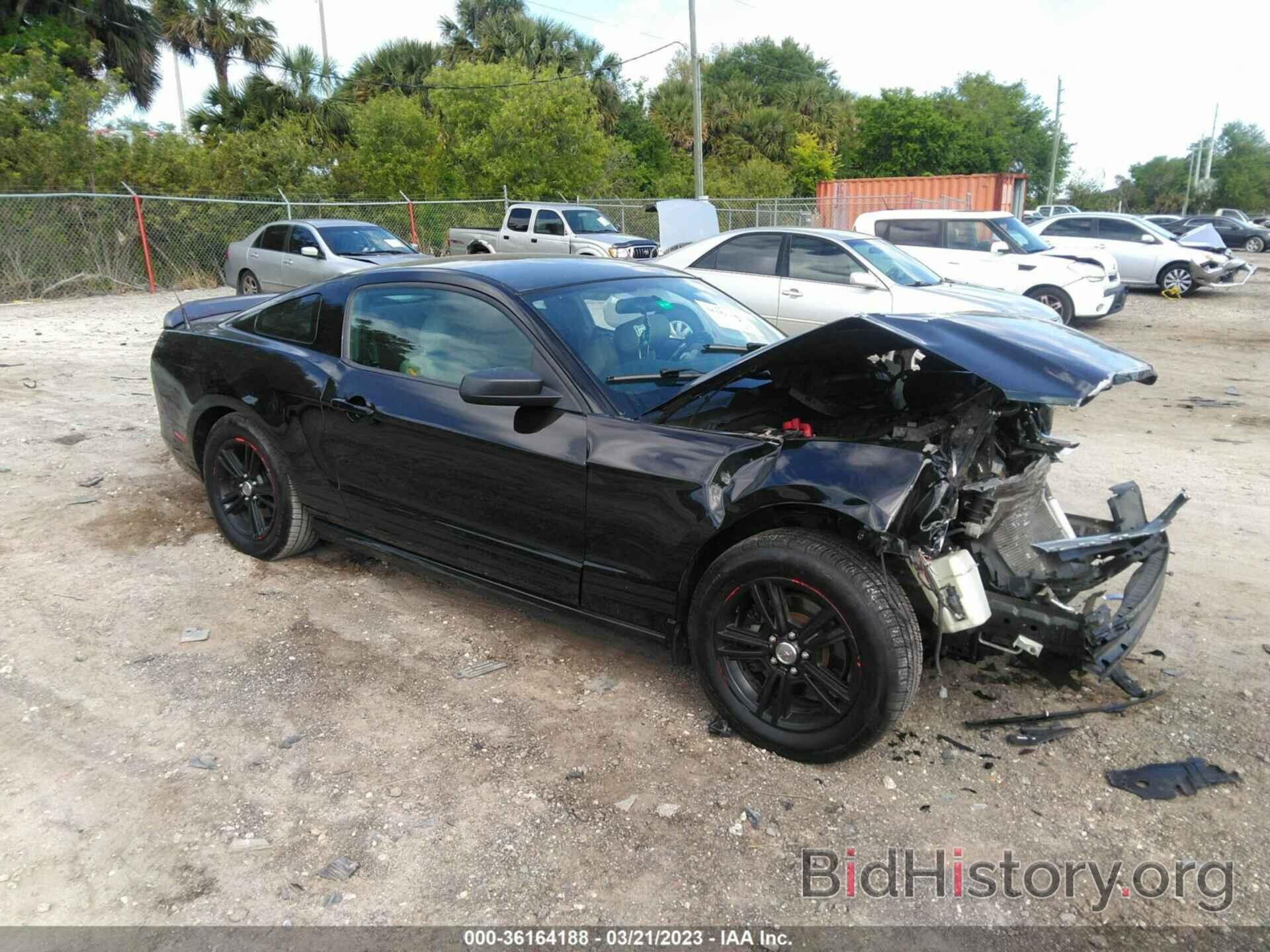 Photo 1ZVBP8AM9D5263582 - FORD MUSTANG 2013
