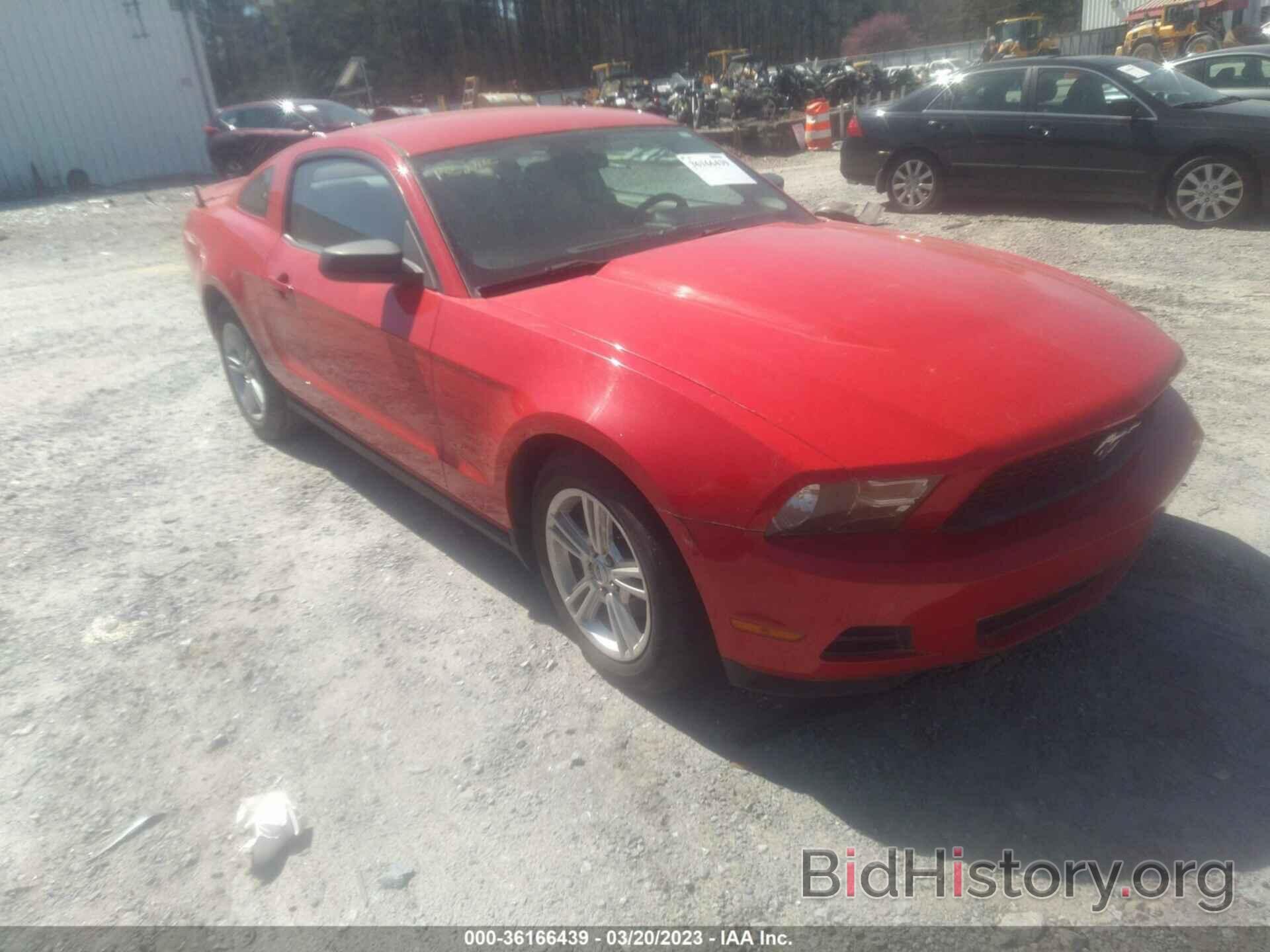 Photo 1ZVBP8AN1A5150603 - FORD MUSTANG 2010