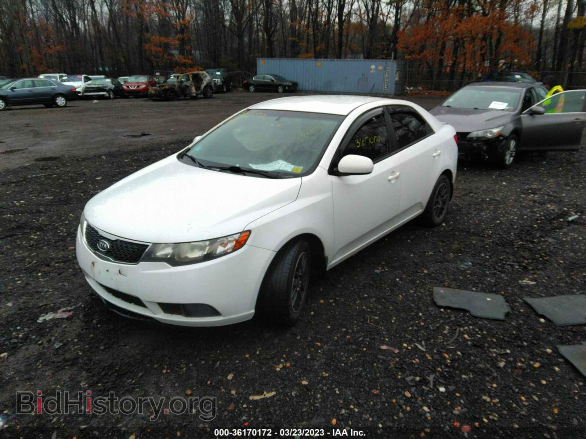 2012 KIA FORTE - VIN: KNAFT4A20C5560310 - Фото 2