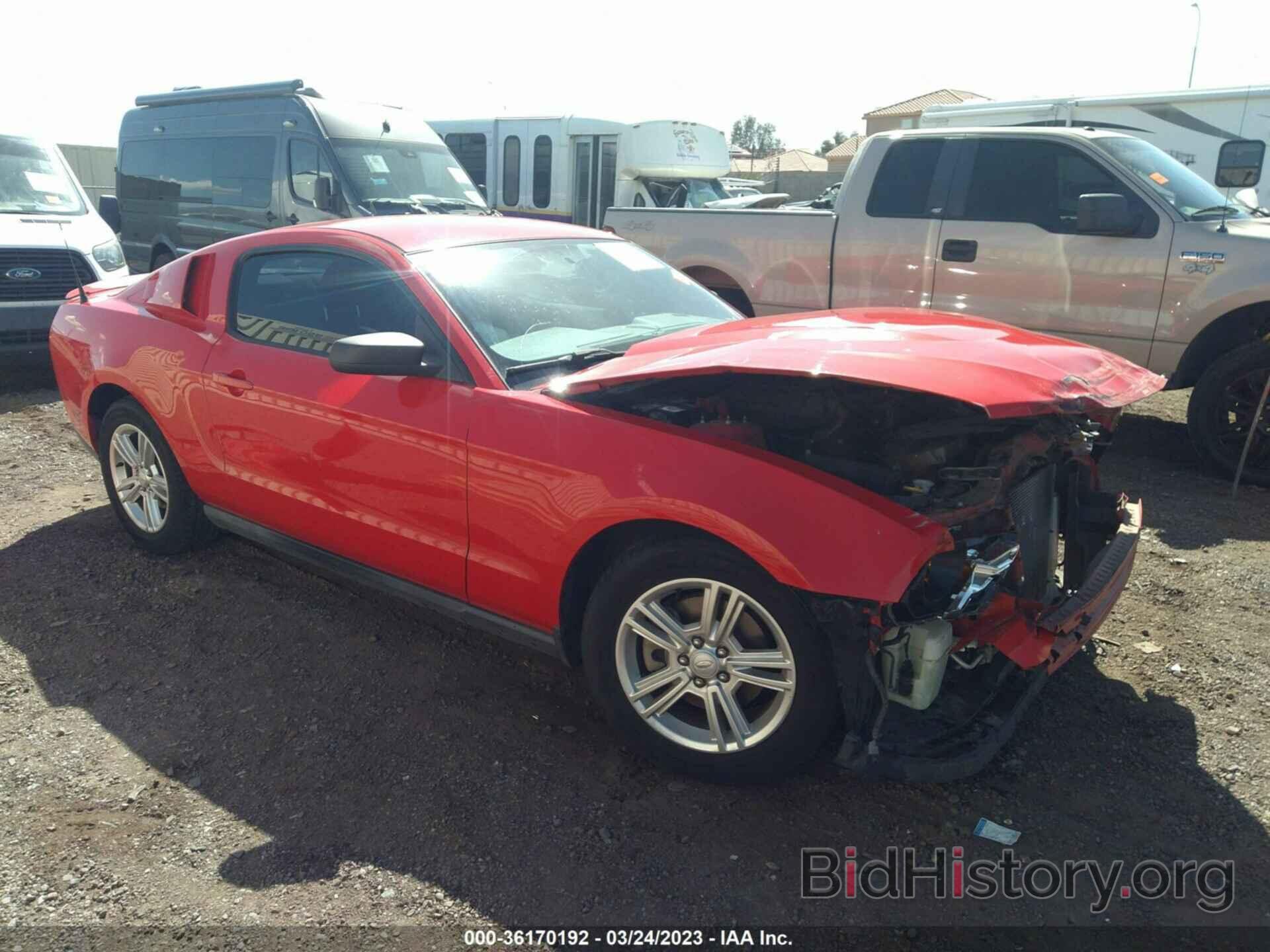 Photo 1ZVBP8AM4B5105857 - FORD MUSTANG 2011