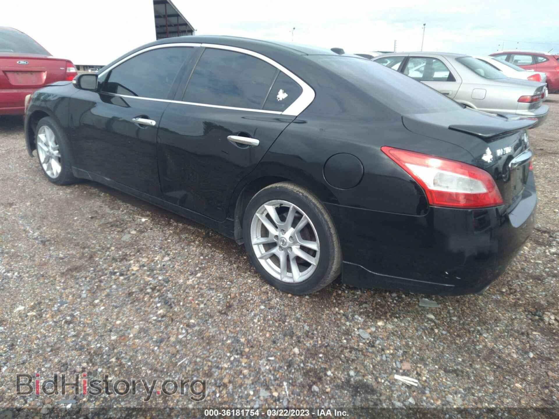 2010 NISSAN MAXIMA - VIN: 1N4AA5AP1AC828669 - Фото 3