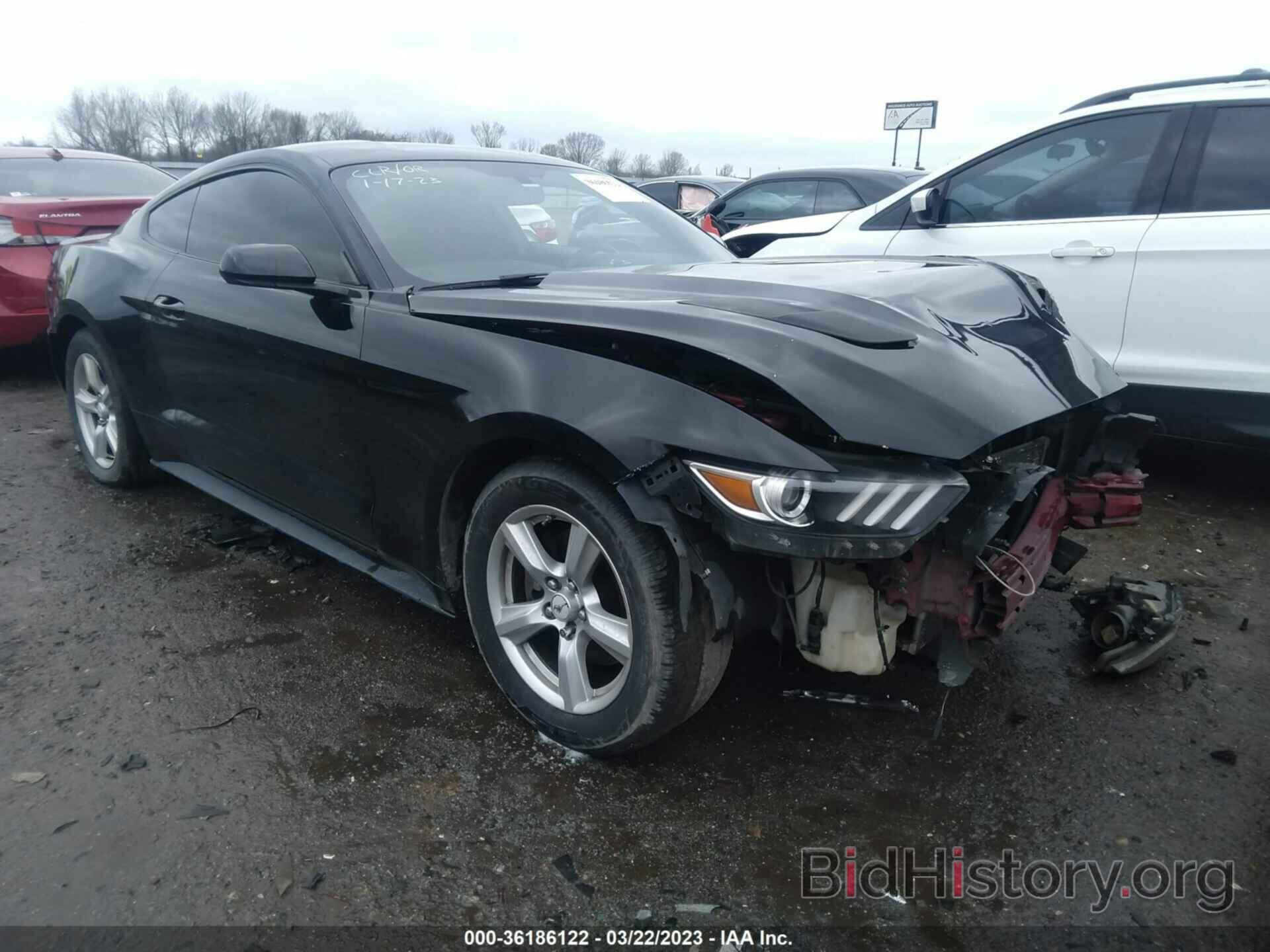 Photo 1FA6P8AM0F5313234 - FORD MUSTANG 2015