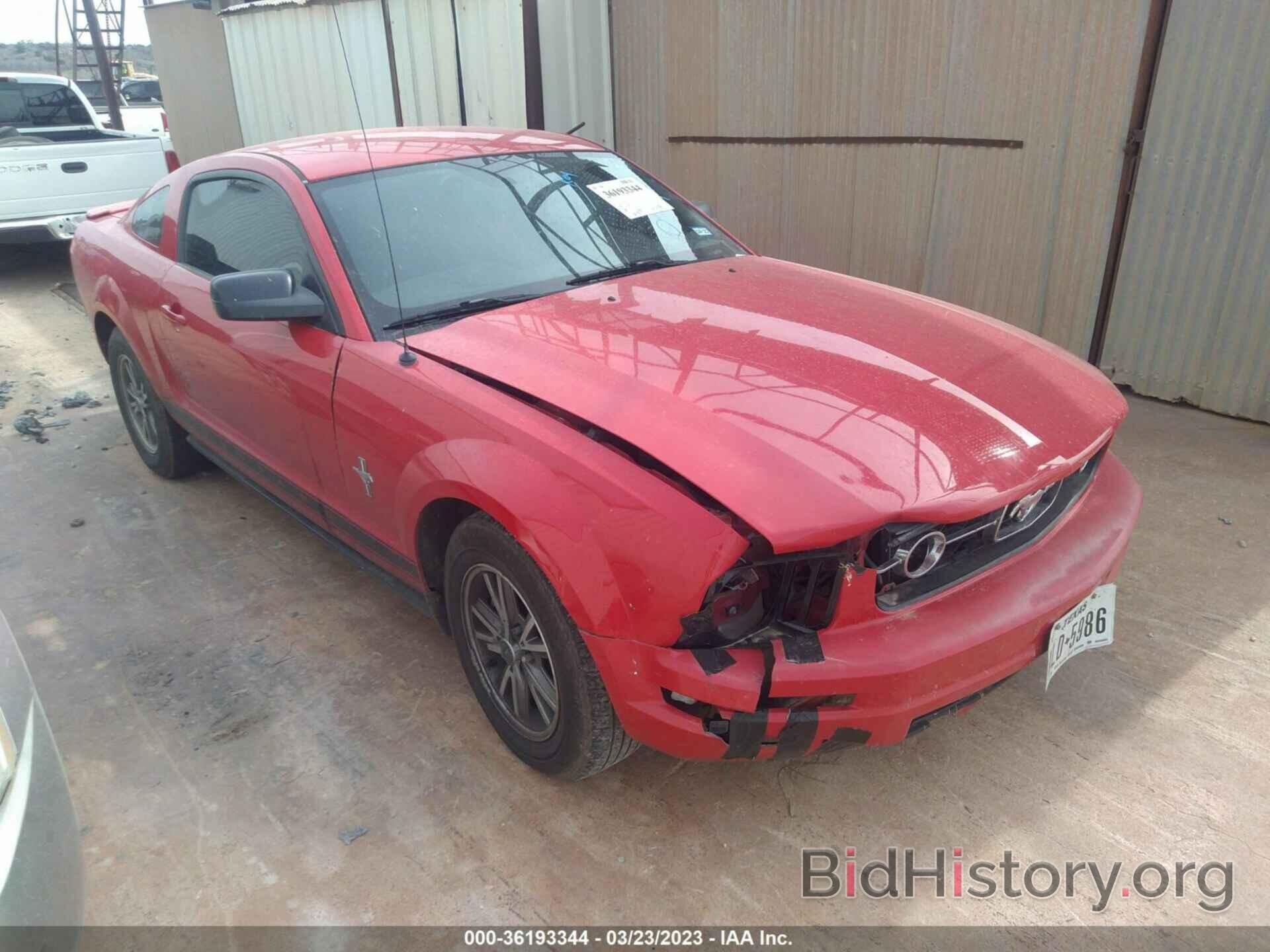 Photo 1ZVHT80N685170802 - FORD MUSTANG 2008