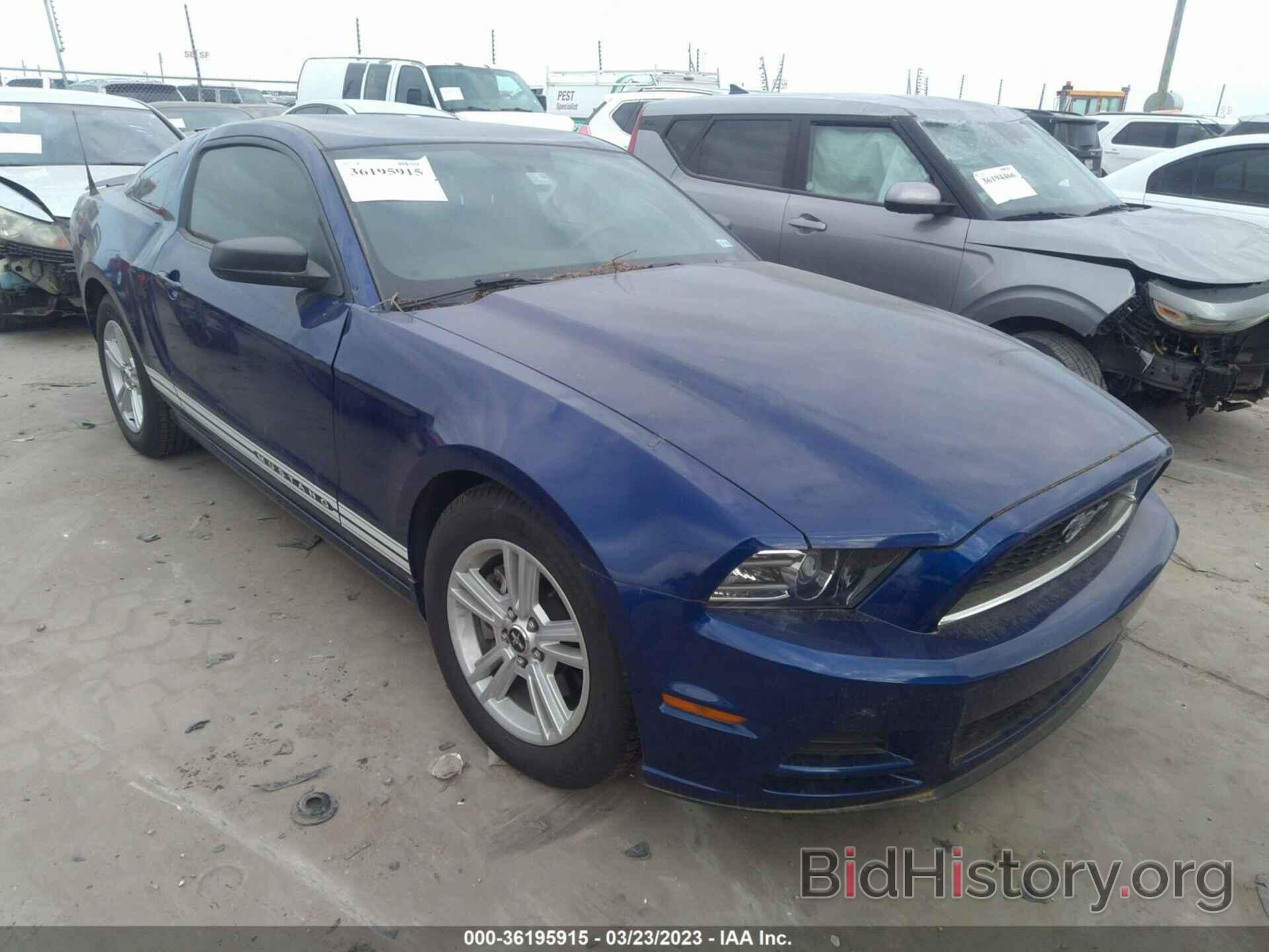 Photo 1ZVBP8AM5D5216128 - FORD MUSTANG 2013