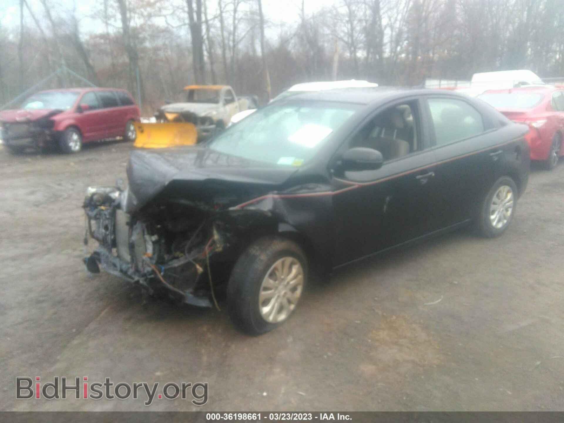 2012 KIA FORTE - VIN: KNAFU4A29C5519400 - Фото 2